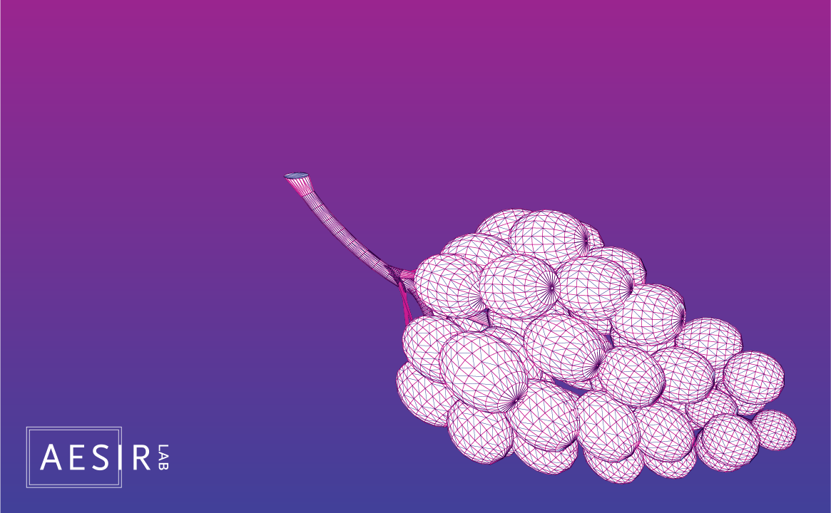 s1_8_grapes_small-01.png