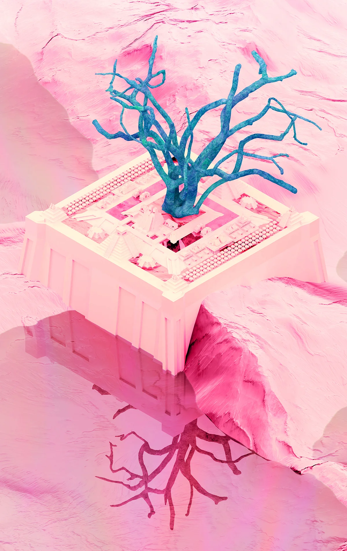 CCS_02.jpg