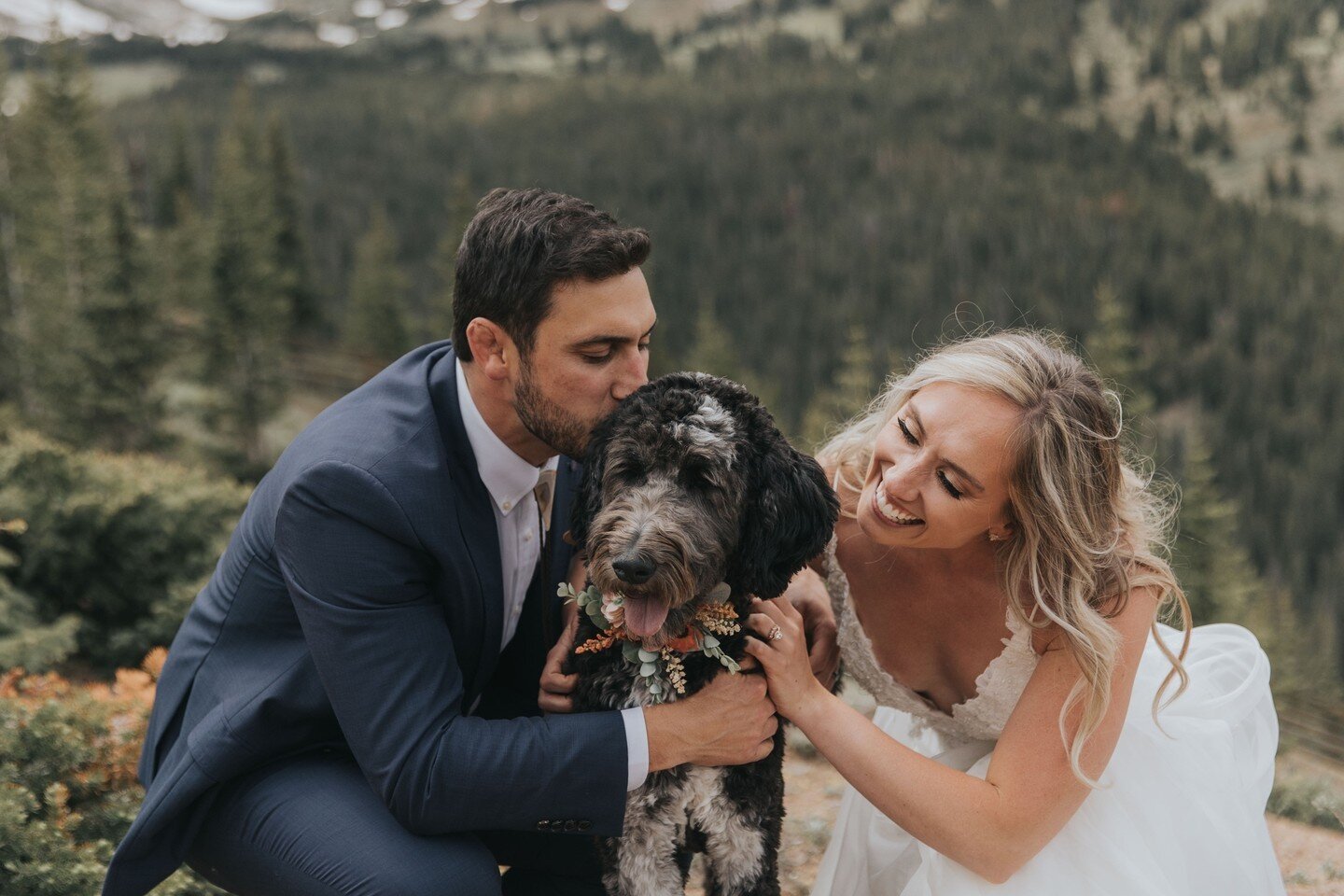 Gimme all the floofs on all the shoots, all the wedding days, please and thank you.