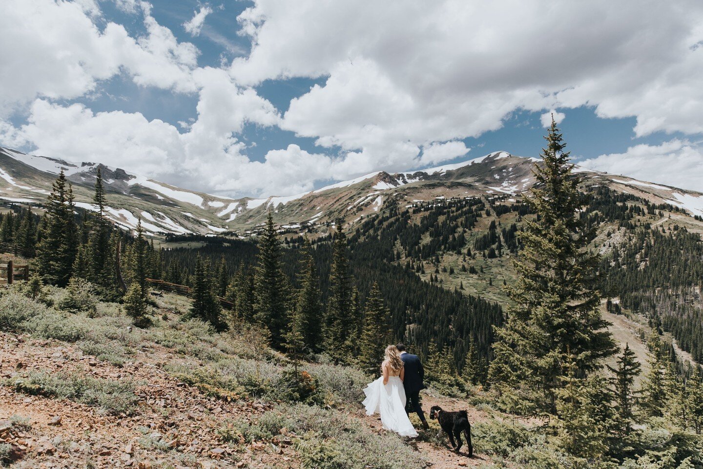 Just a casual dog walk on top of the world in wedding attire. NBD.