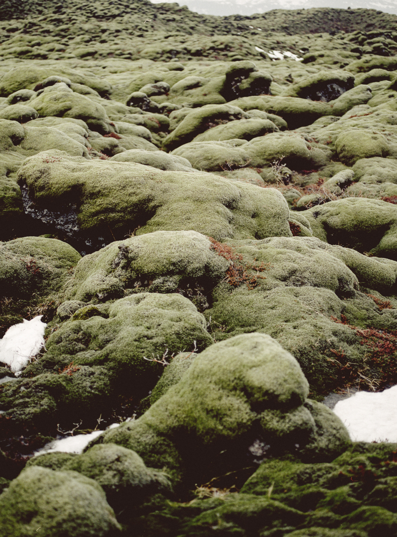 icelandblog-140.jpg