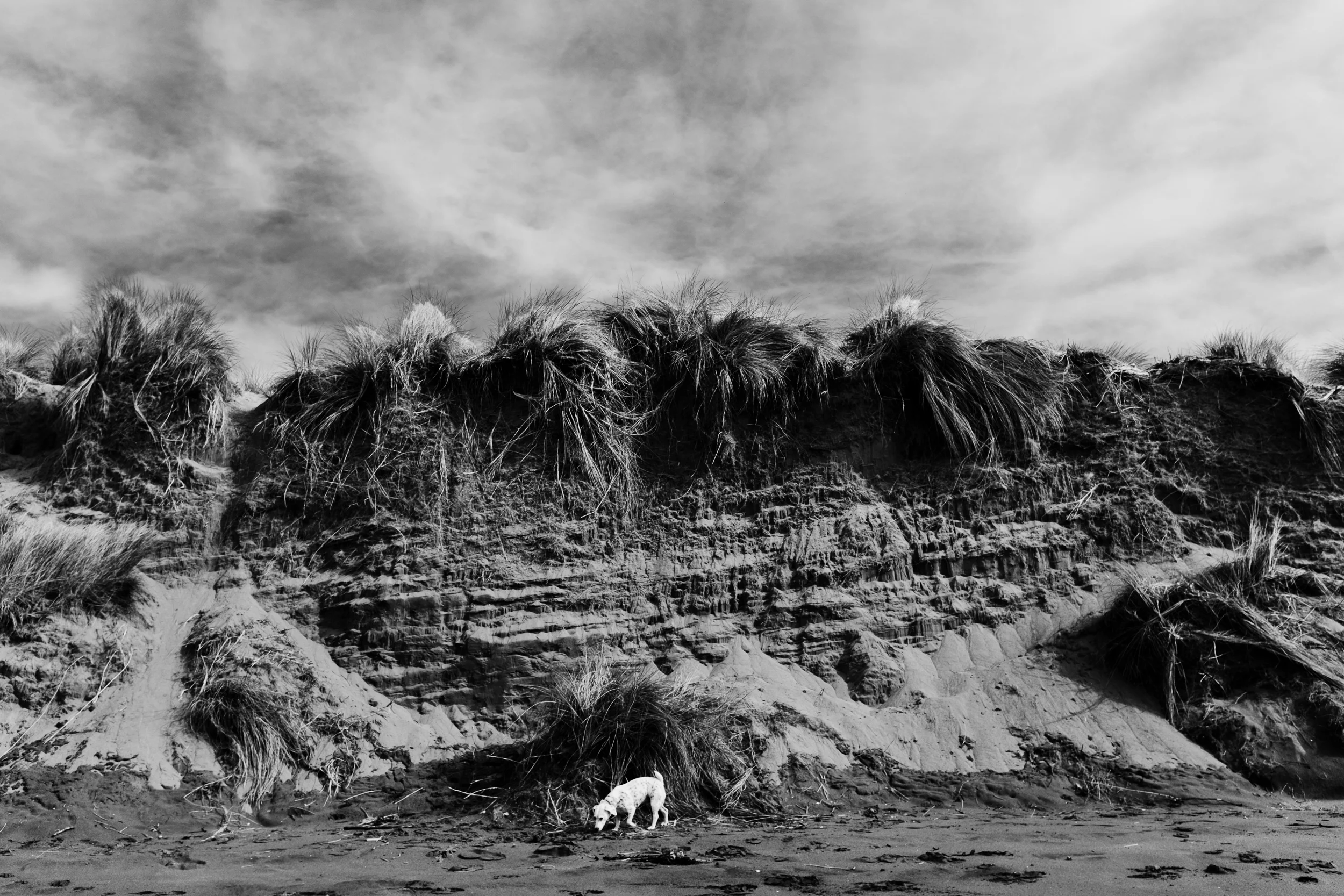 Yachats, OR
