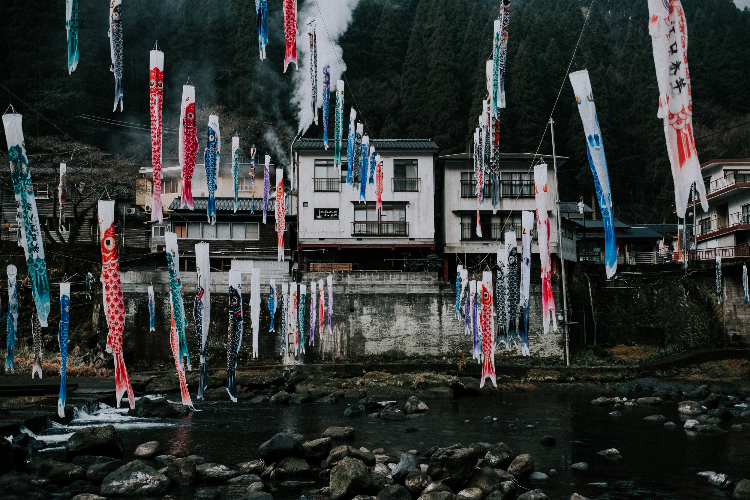  Koinobori in Tsuetate. 