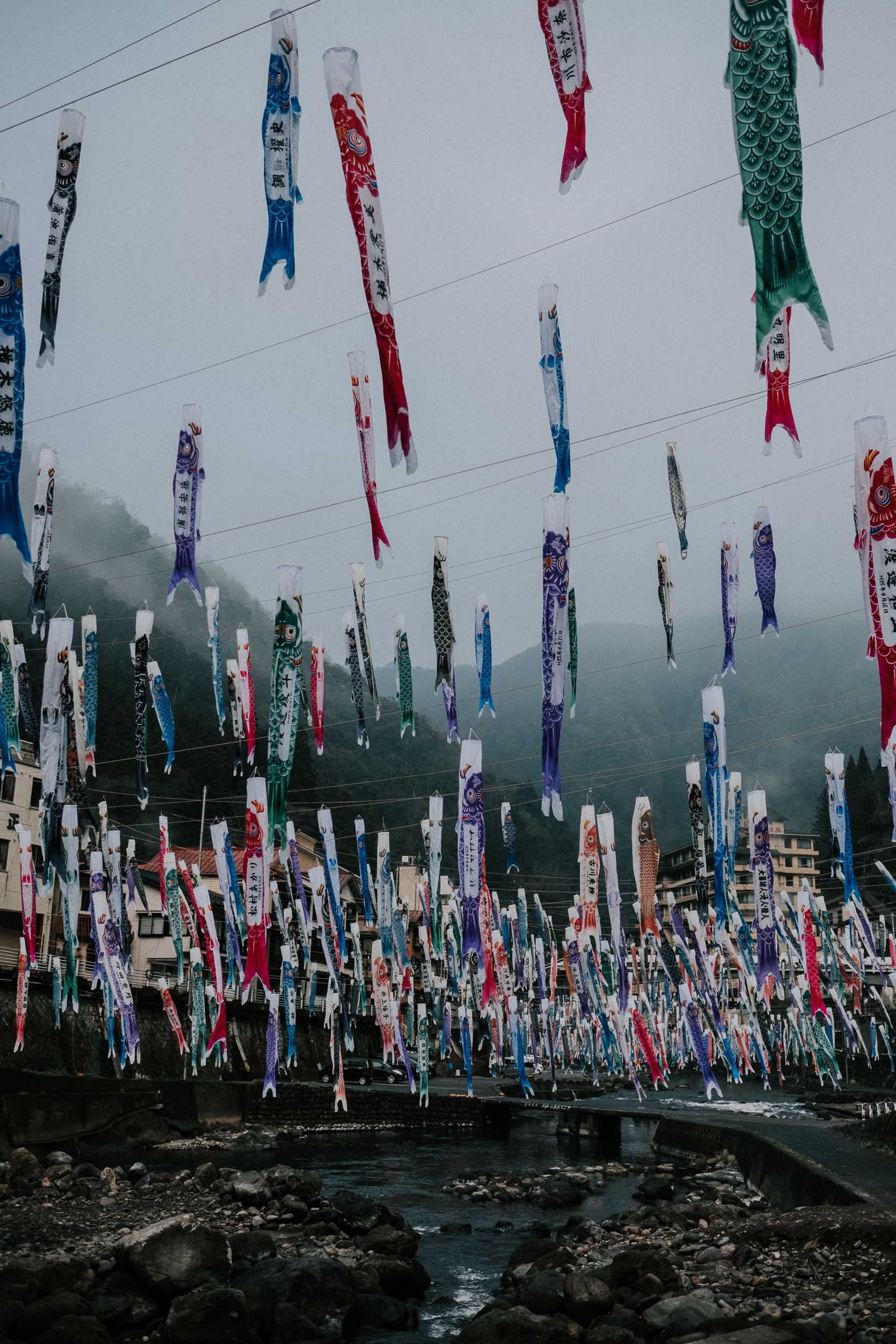  Koinobori in Tsuetate.&nbsp; 