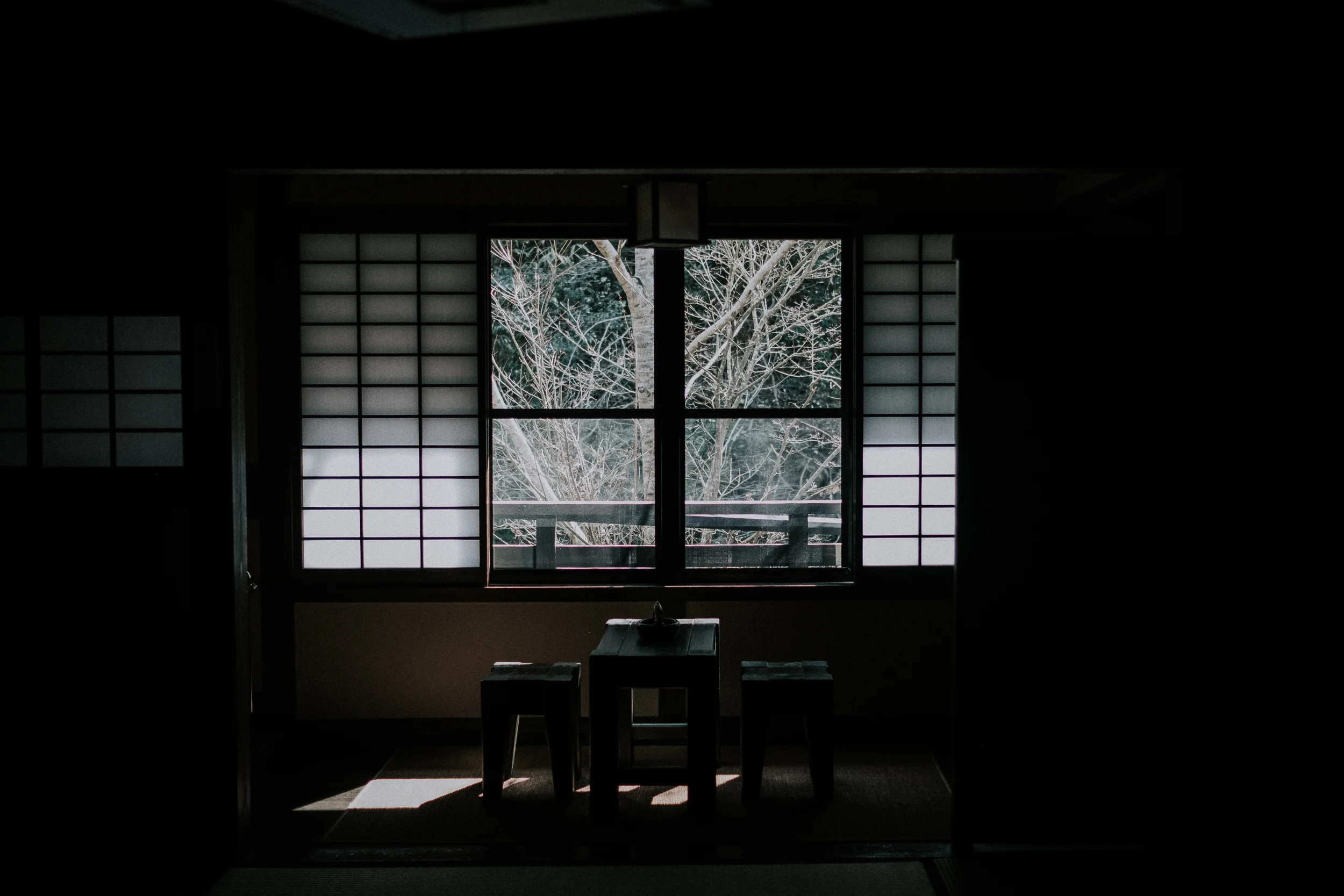 My window at Ryokan Sanga. 