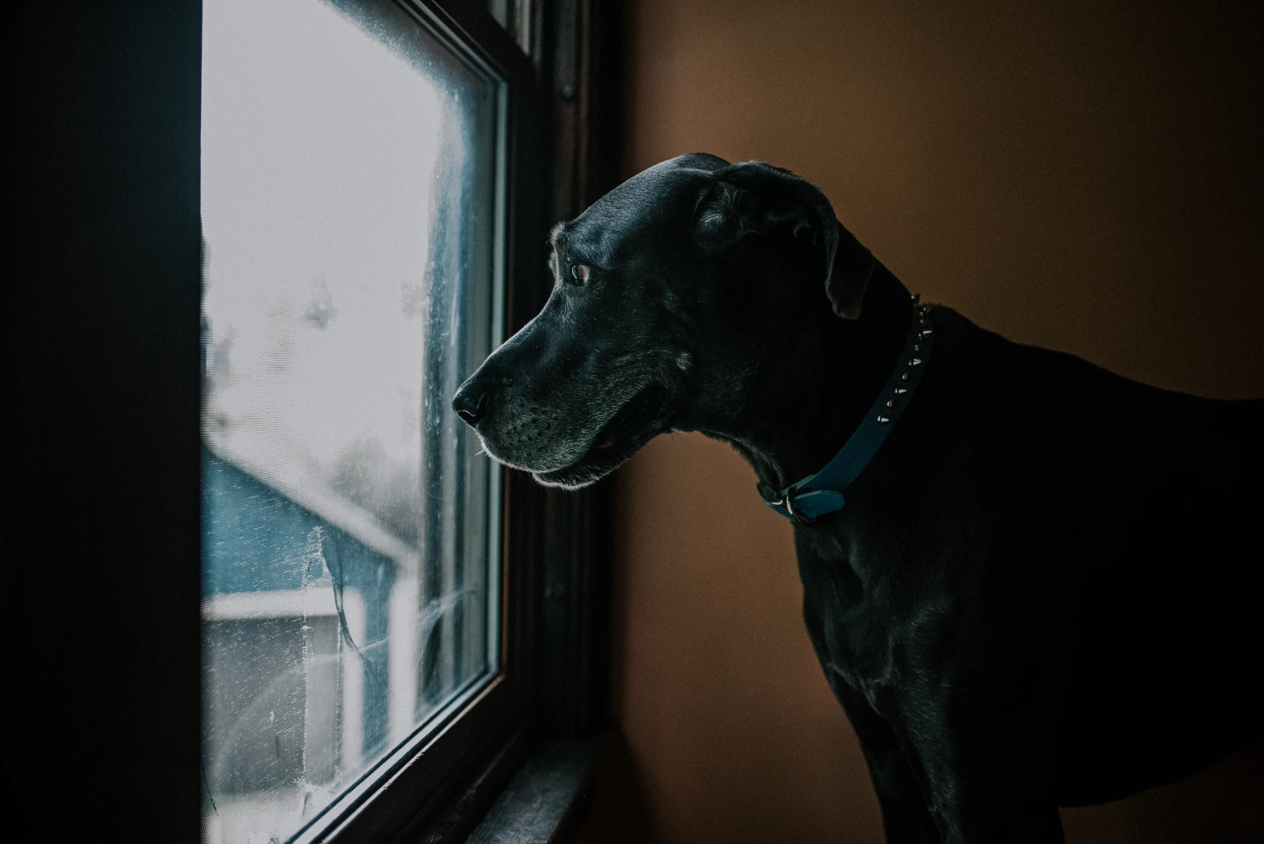 porter-124.jpg