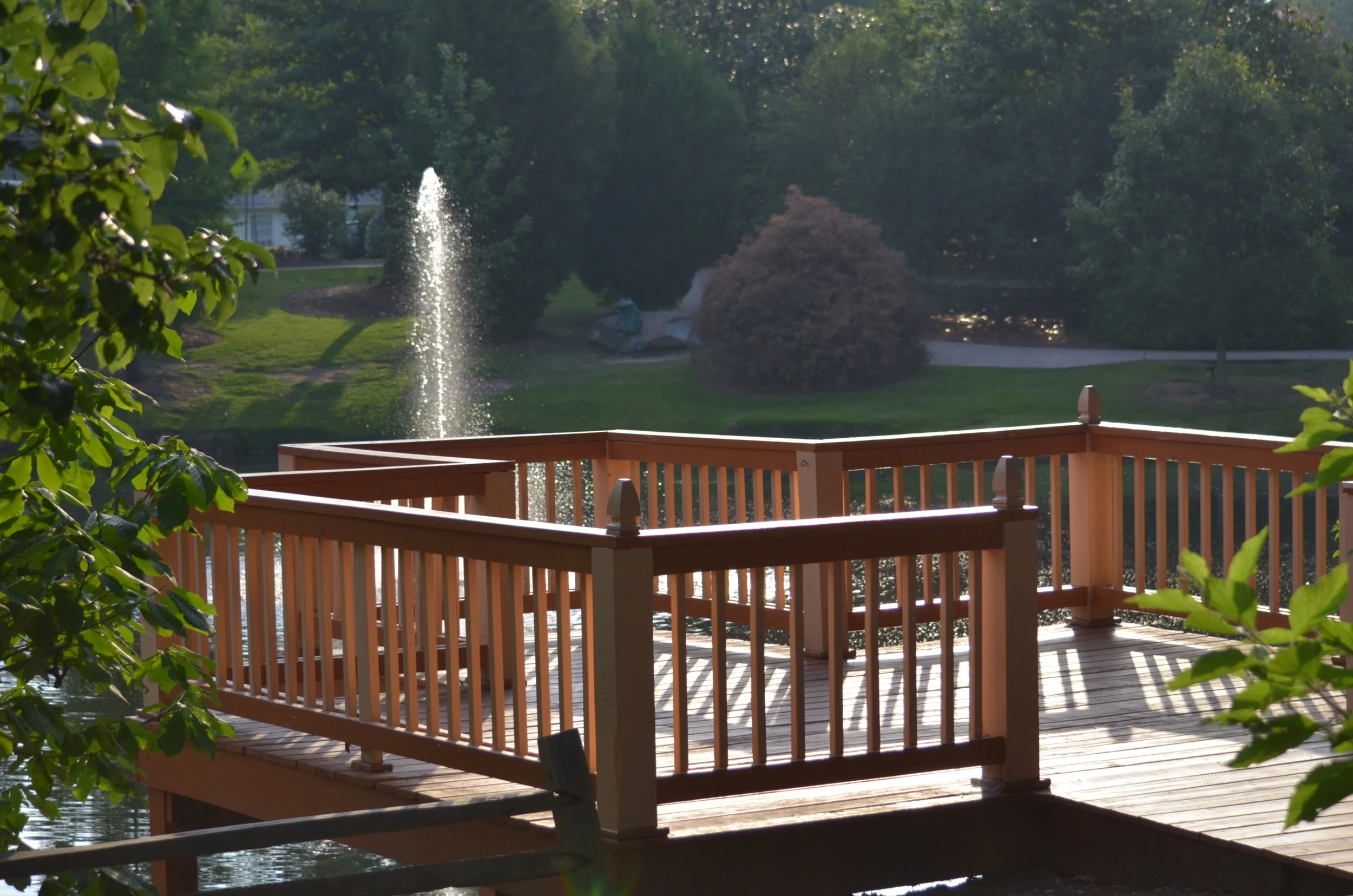 Serenity in the Morning