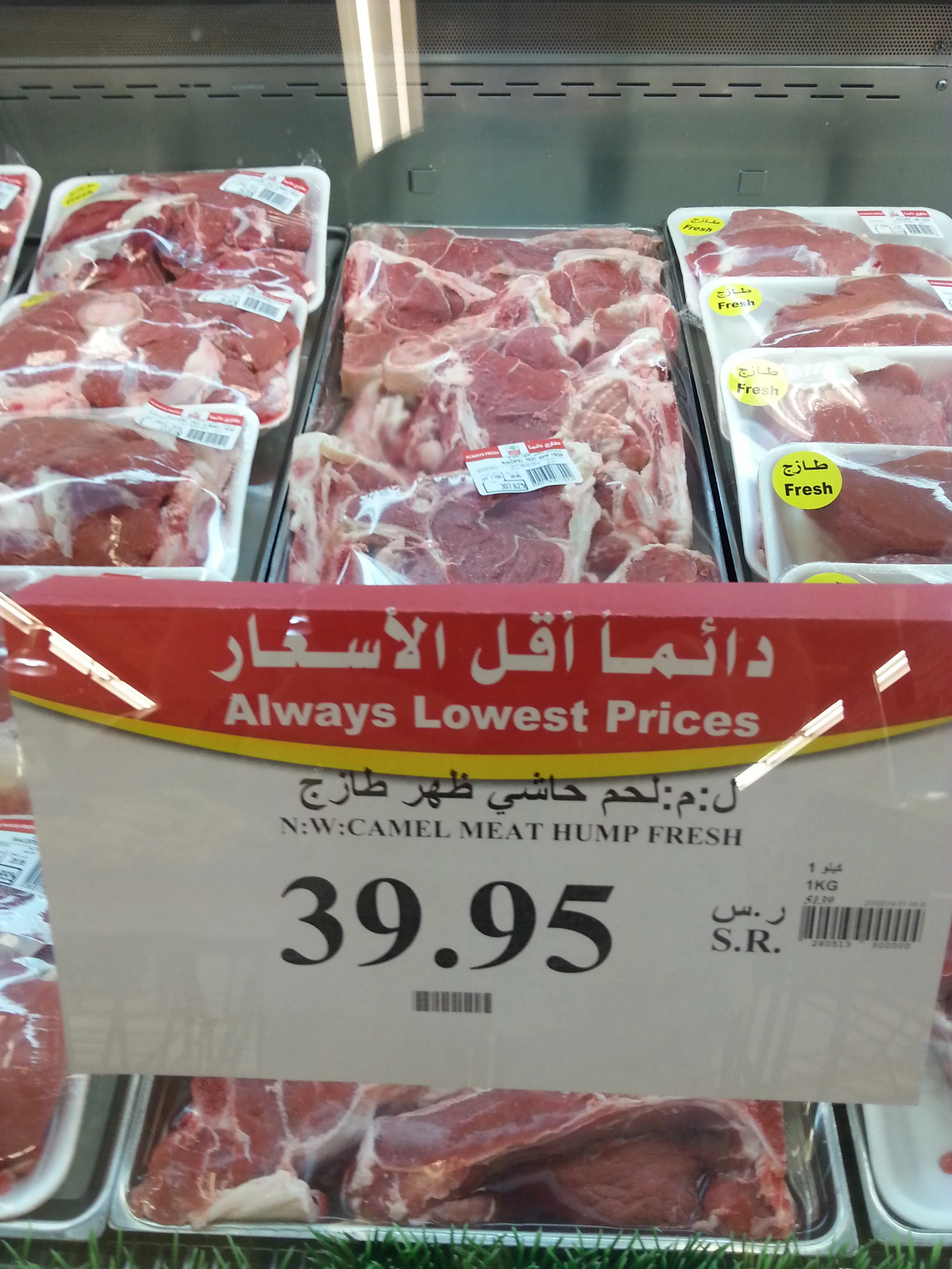 Fresh camel hump -- ready for grillin'