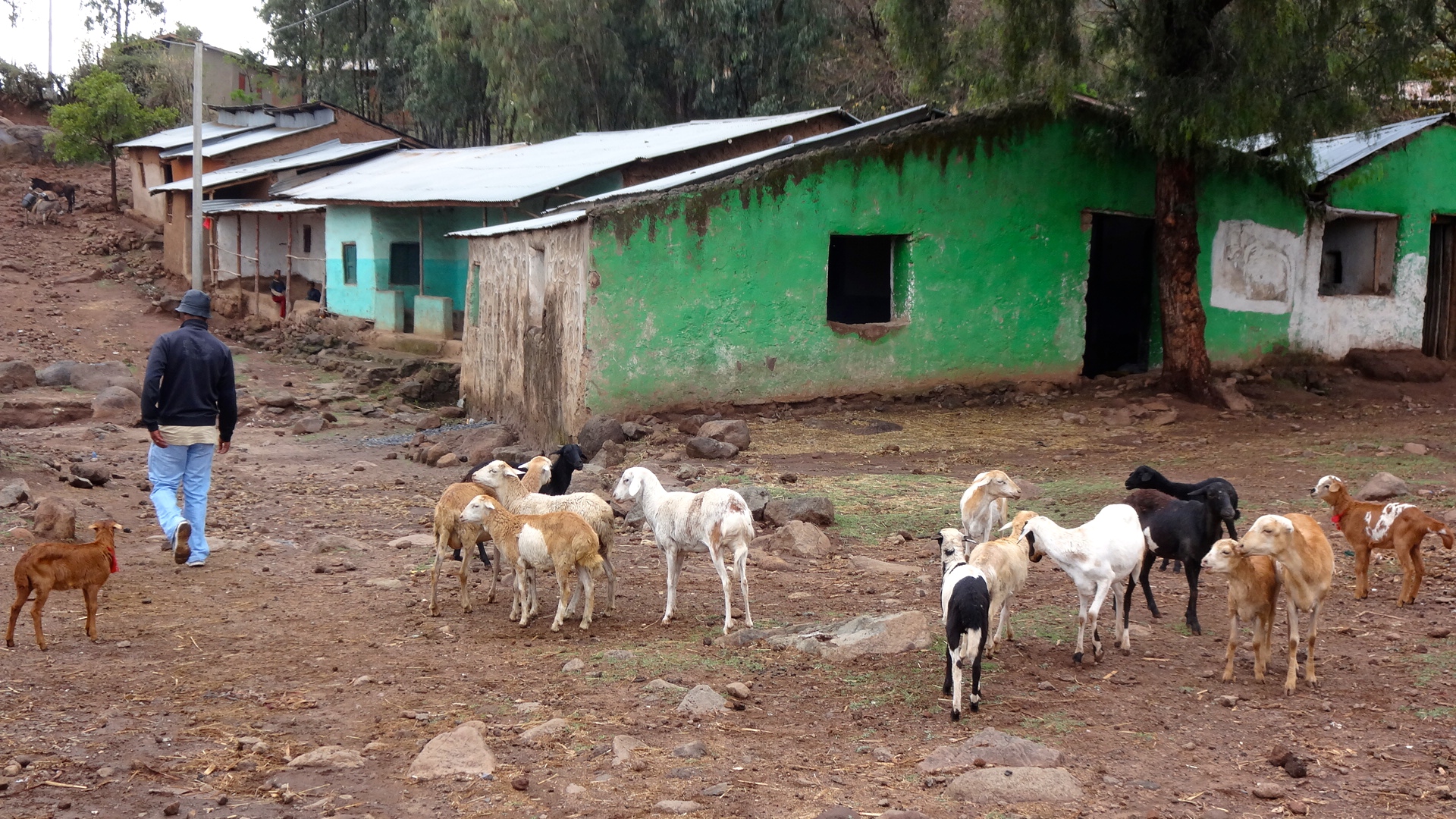 We arrive at the small village at the base of the mountain.
