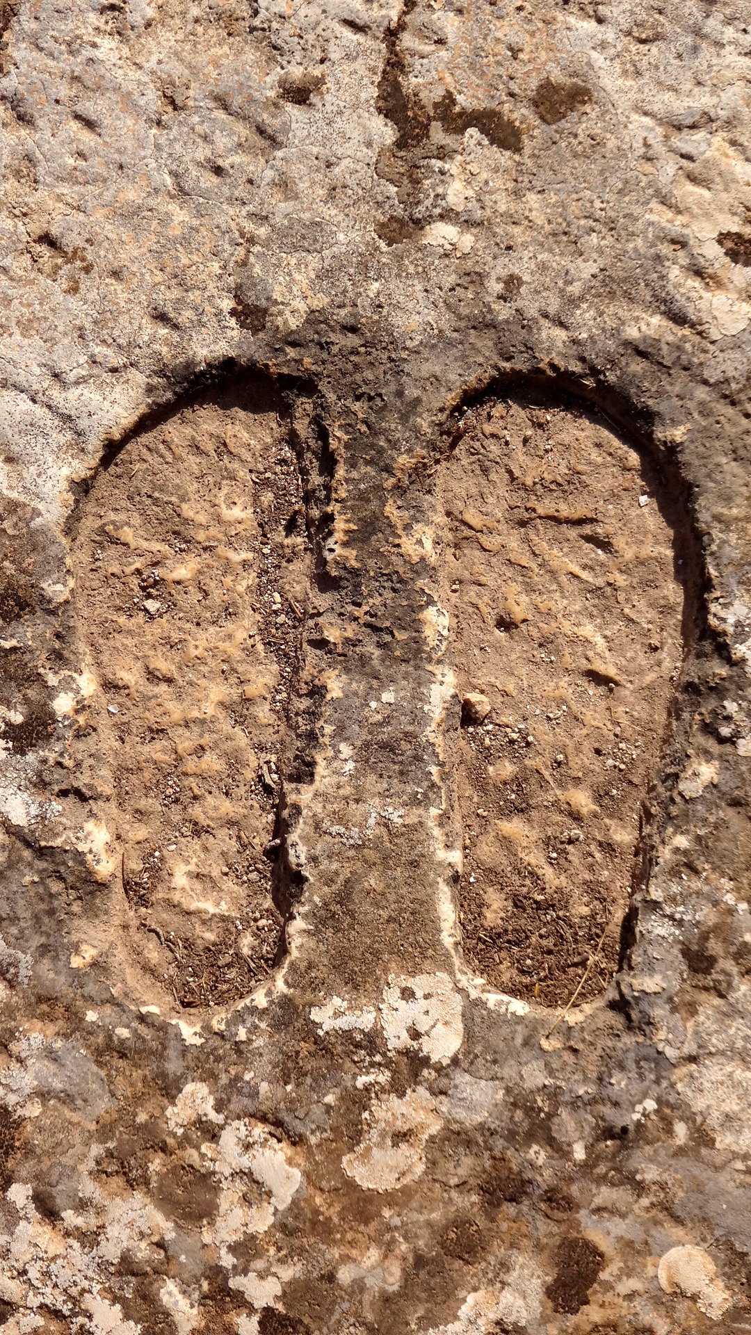 Punic or Roman footprints in the concrete.