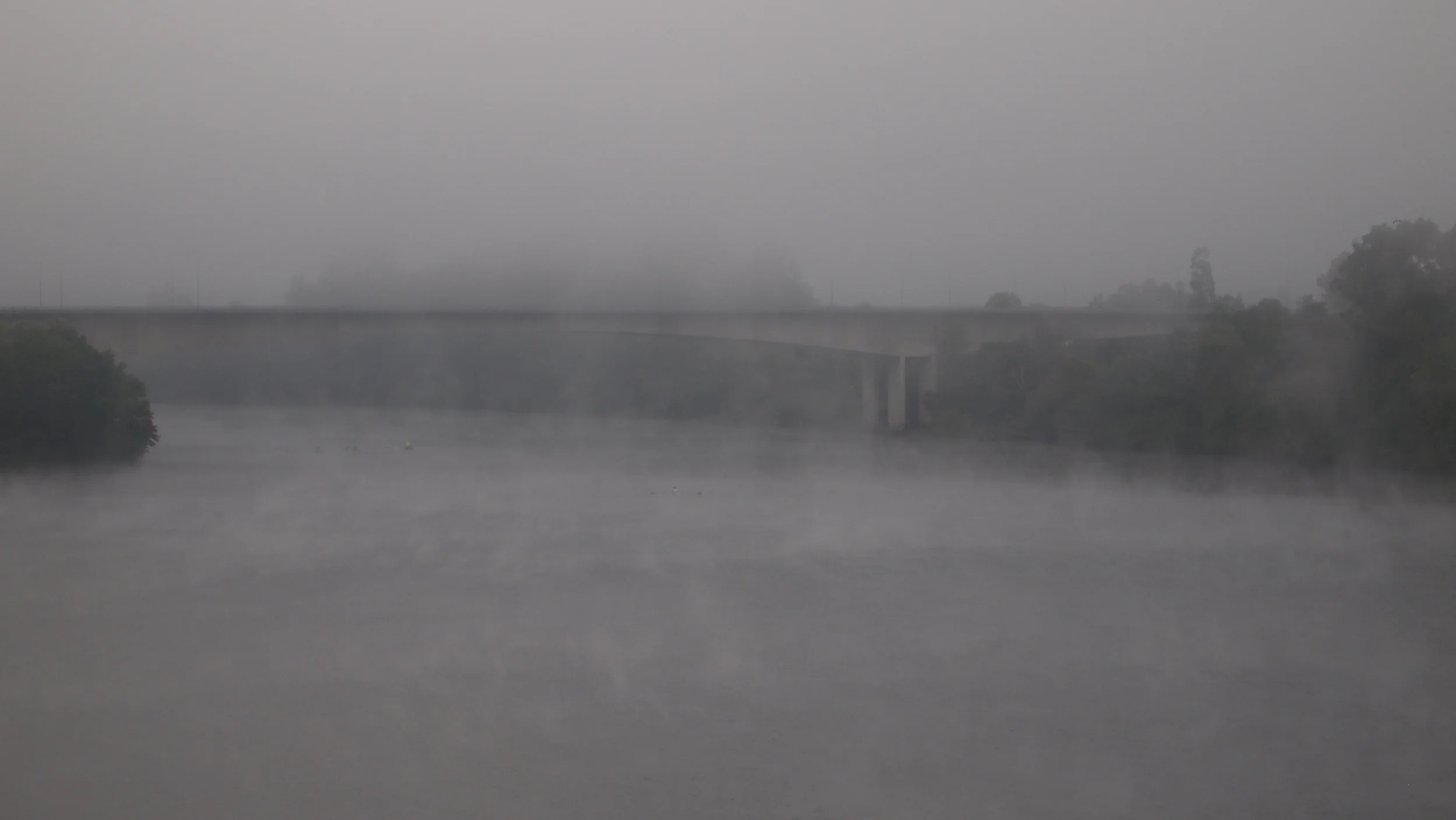 It was a little bit wet on the walk over.  But so pretty!!!