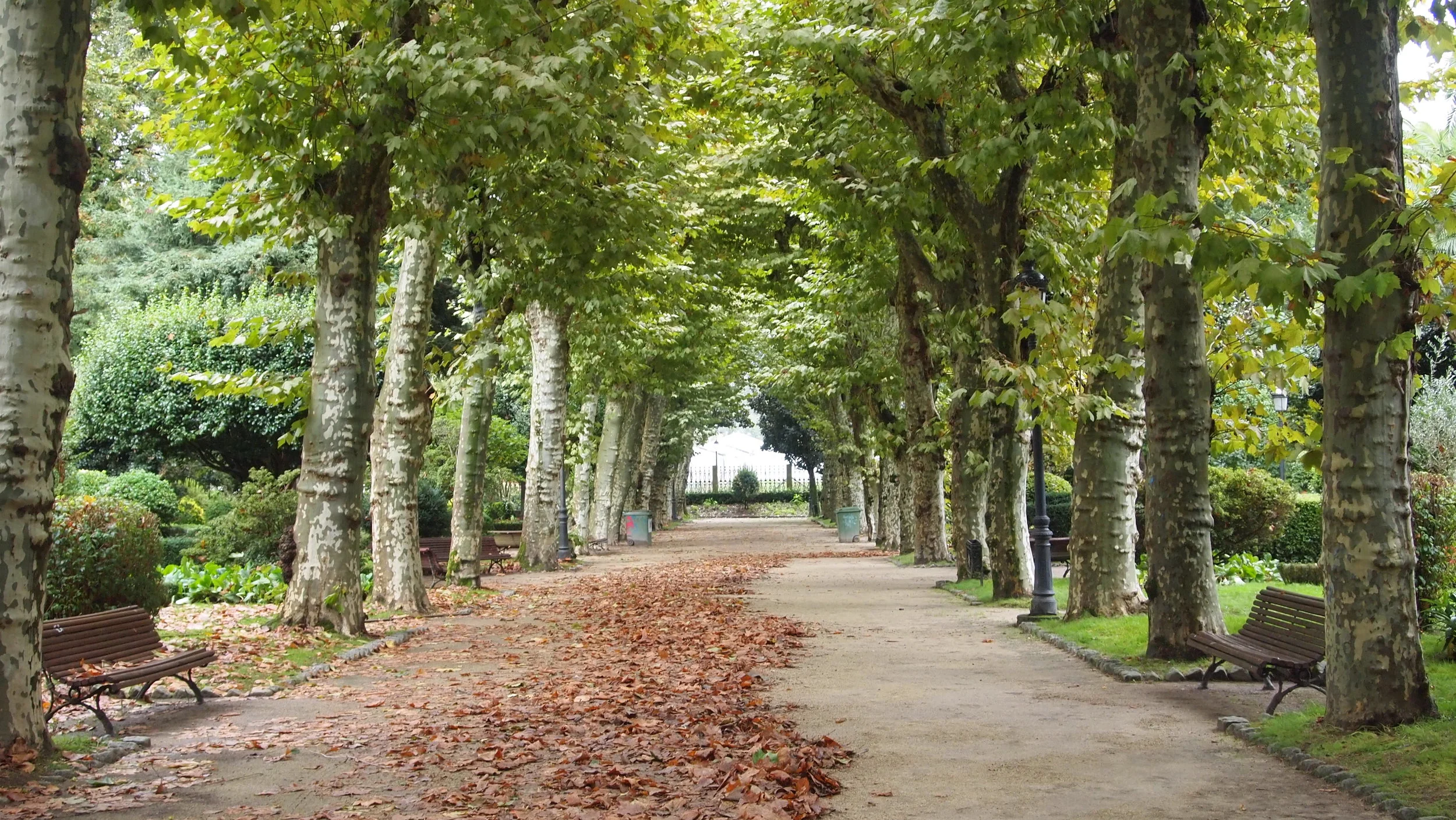 I could have sat in this park for hours. It was so quiet and peaceful here.
