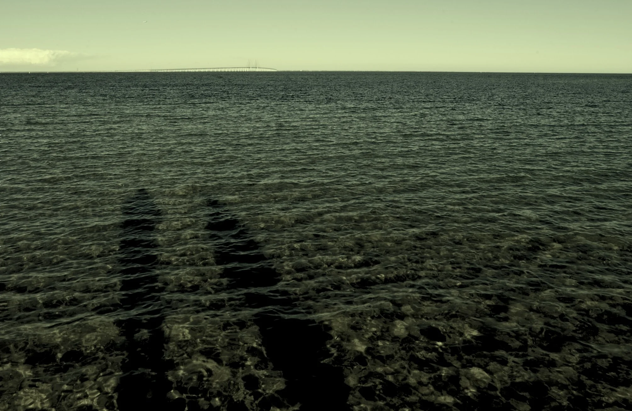04112004_173416DSC_5549.jpg