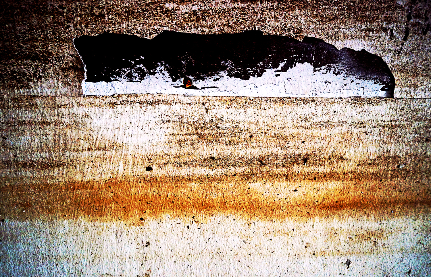 Memory of flooding03w.jpg