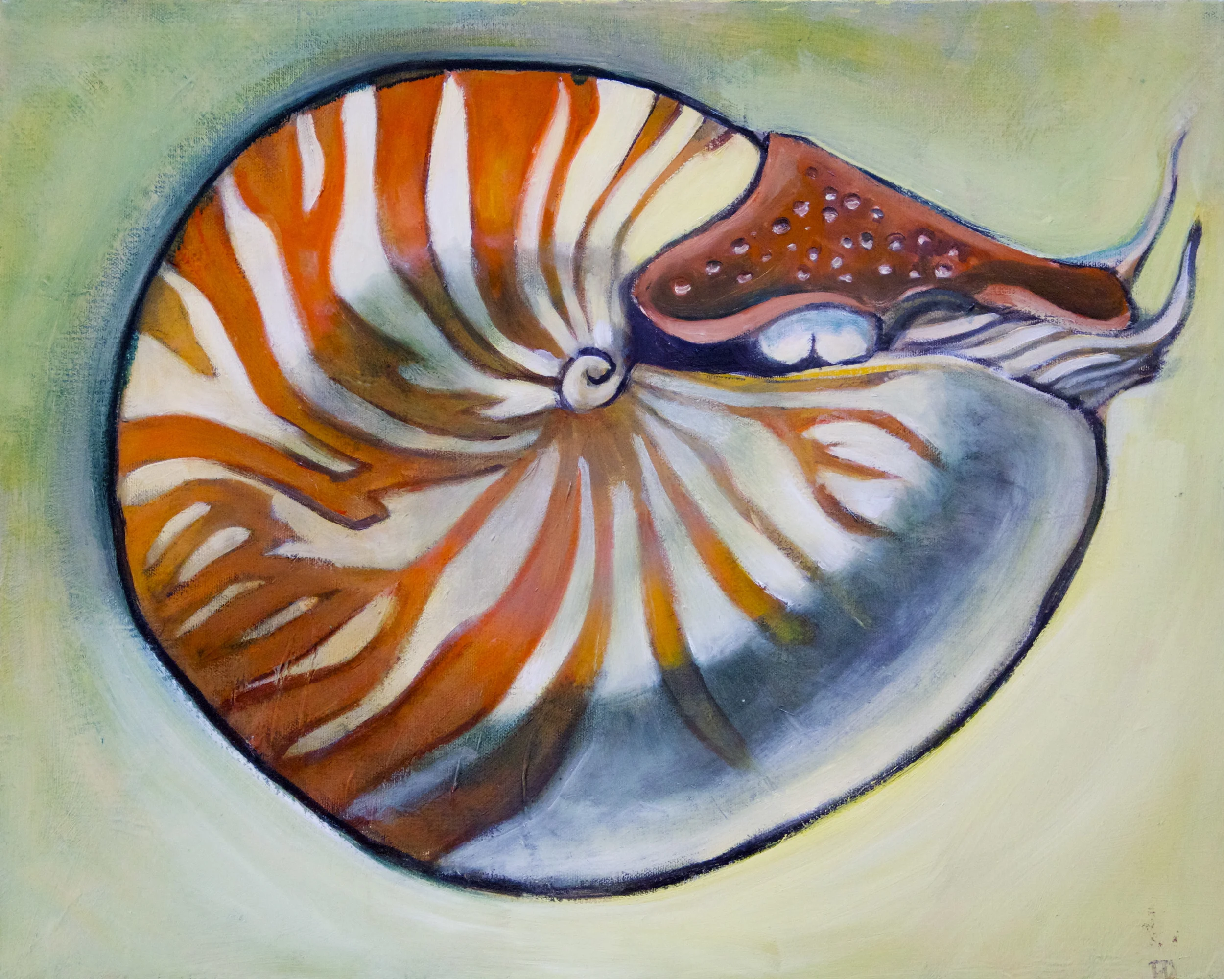 Nautillus