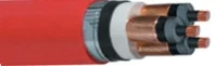 tpks_YE3SSV_2XSEYFGY_35kV.jpg