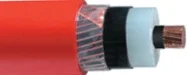 tpks_YE3SV_2XSY_15kV.jpg