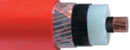 tpks_YE3SV_N2XSY_20kV.jpg