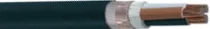 tpks_YE3MV_N2XCY.jpg