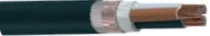 tpks_YVMV_NYCY.jpg