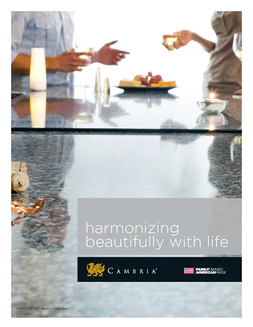 Harmonizing Magazine Ad