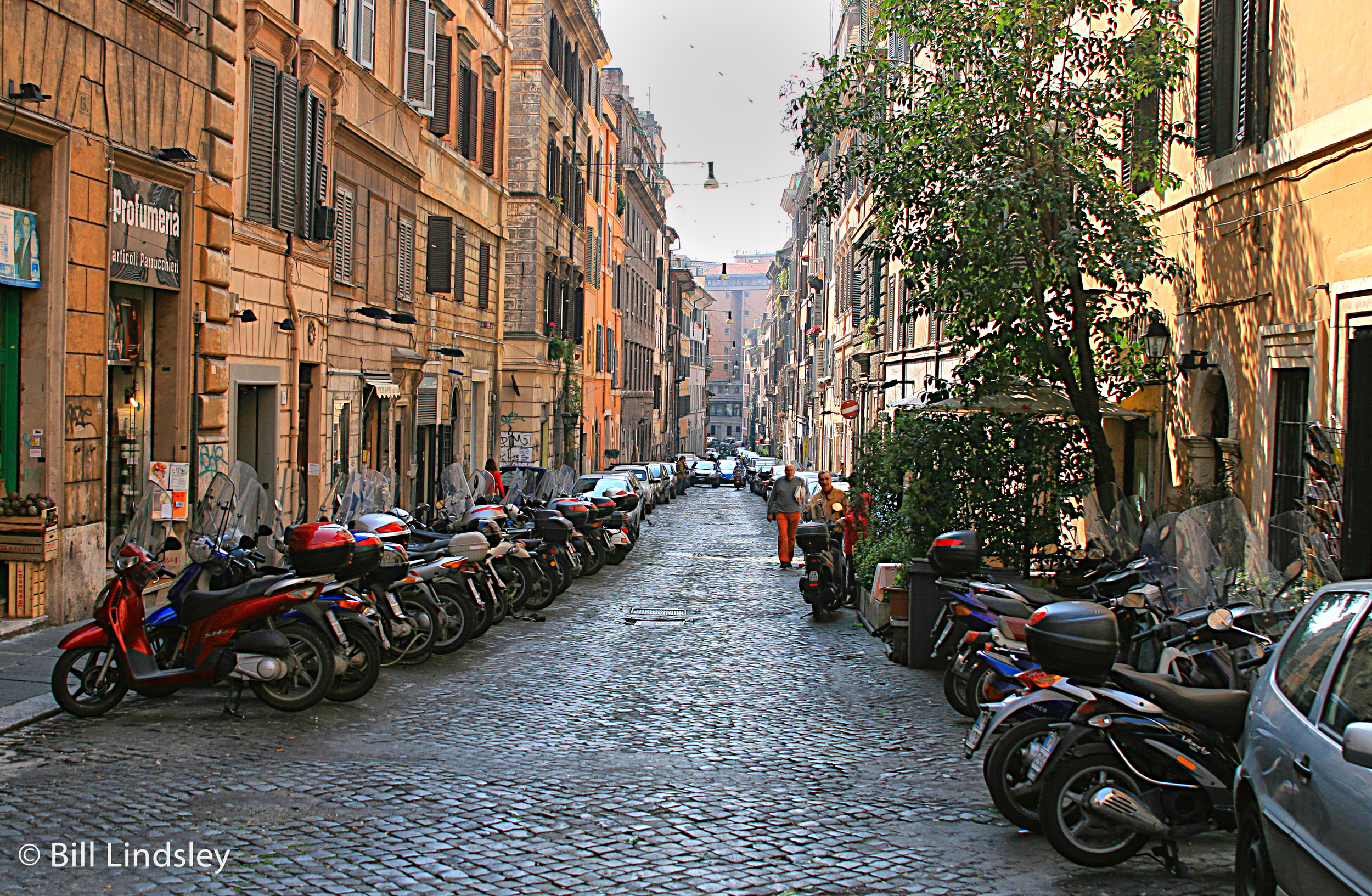 roma20081129_41a.jpg