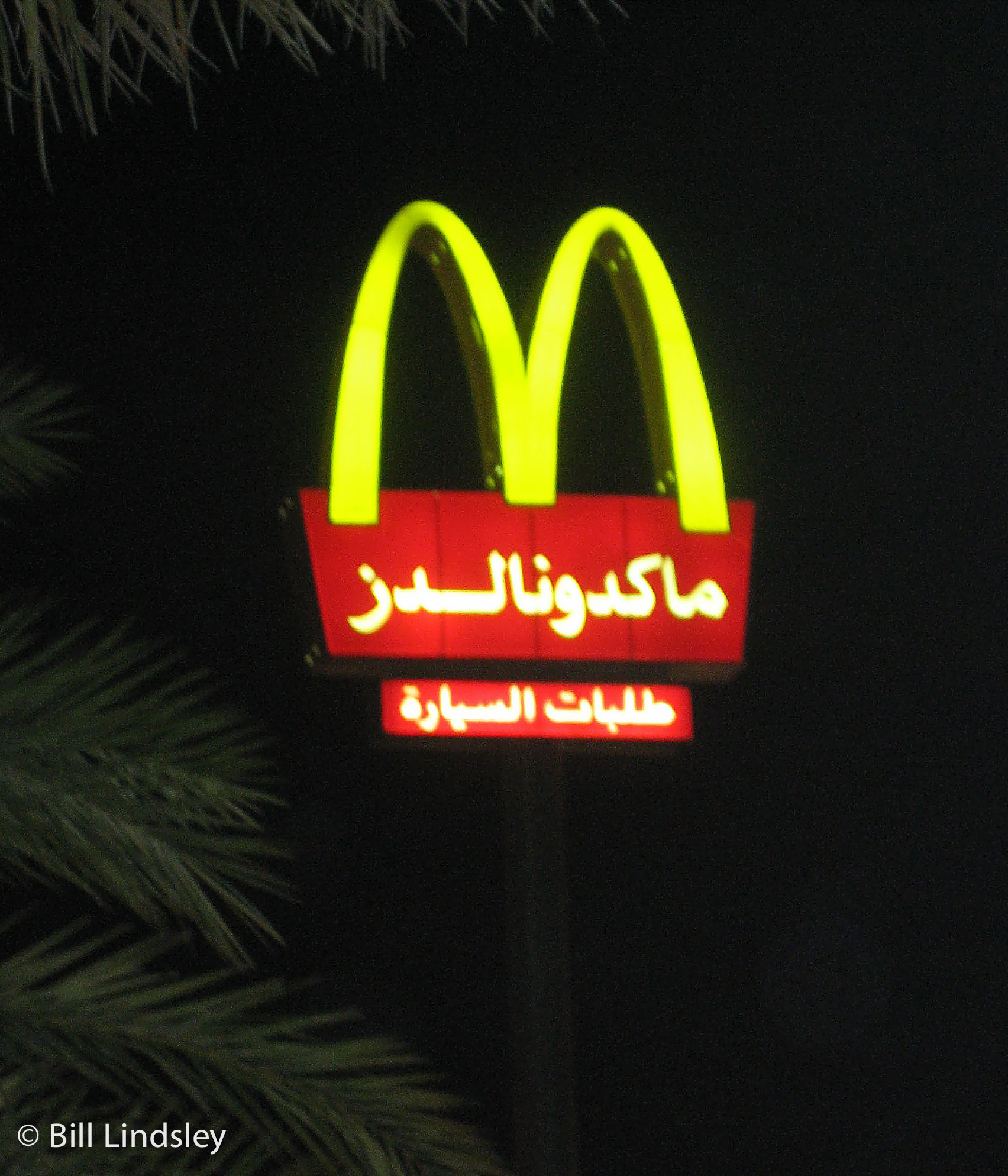 saudi20081129_15a.jpg