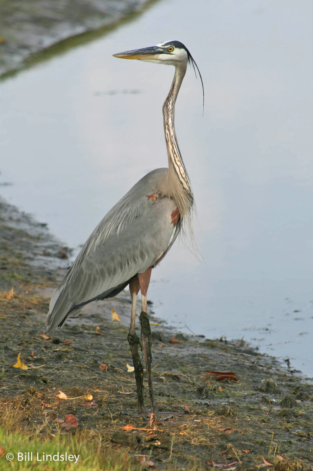 naturesbest_018.jpg