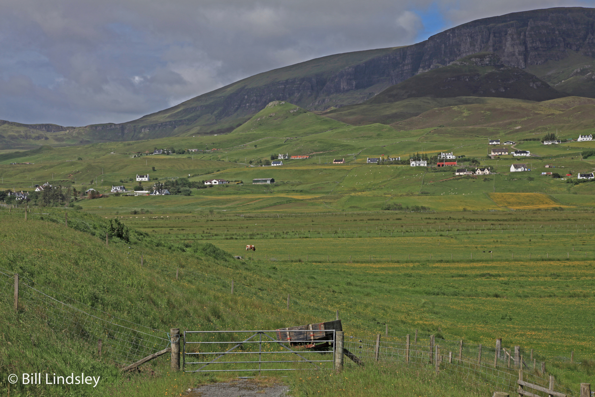 Scot_165.jpg