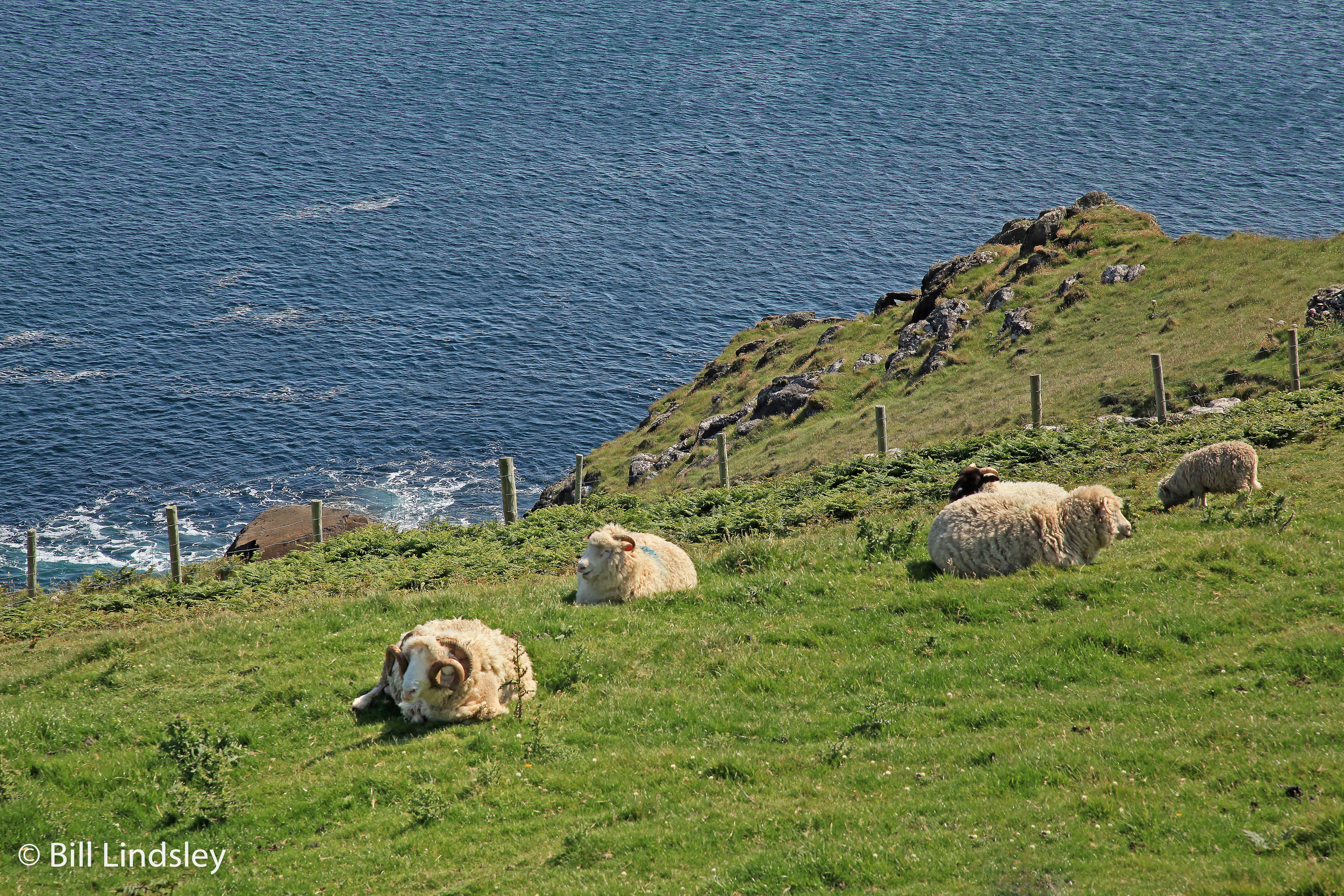 Ireland_136a.jpg