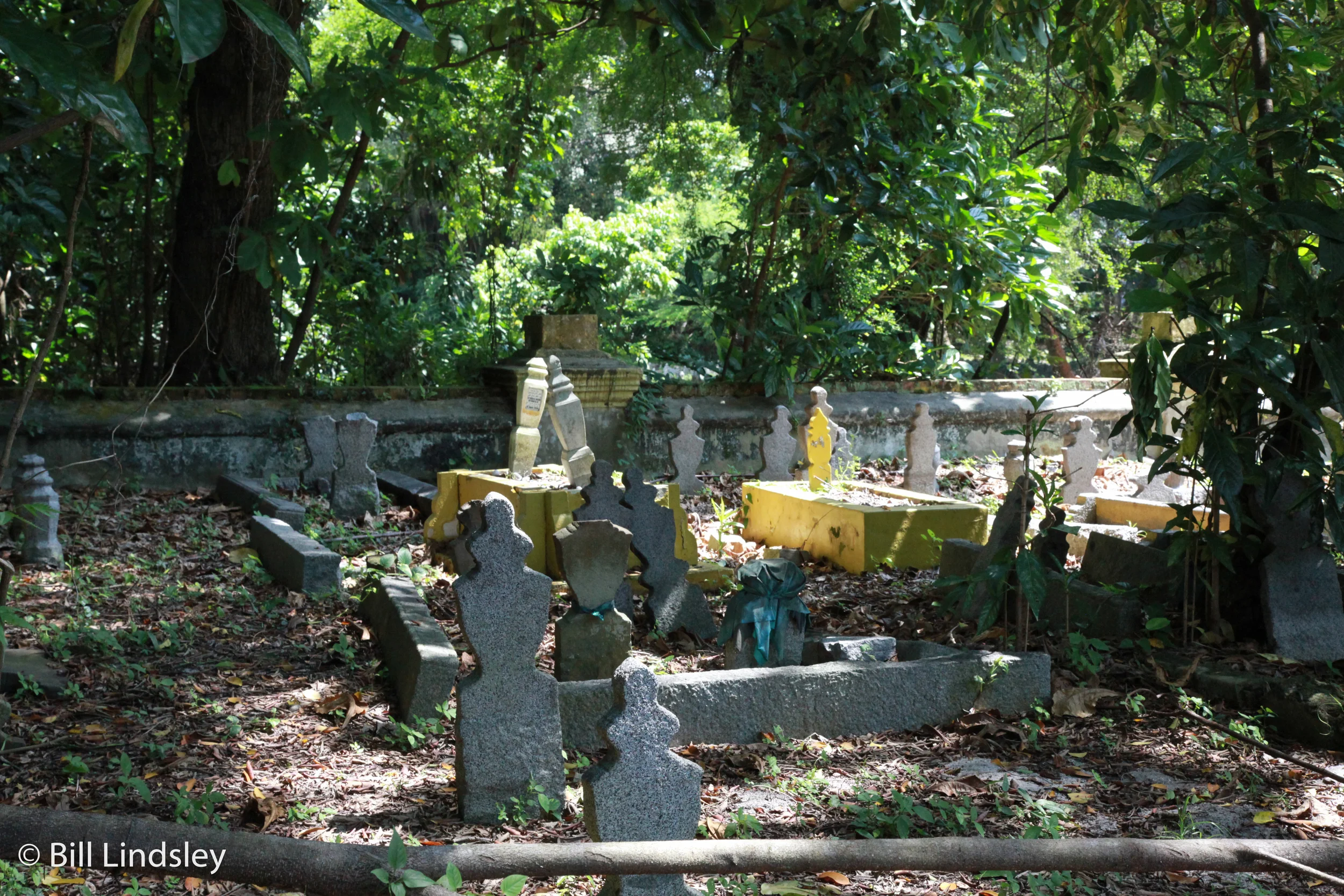 singaporecrt_349.jpg