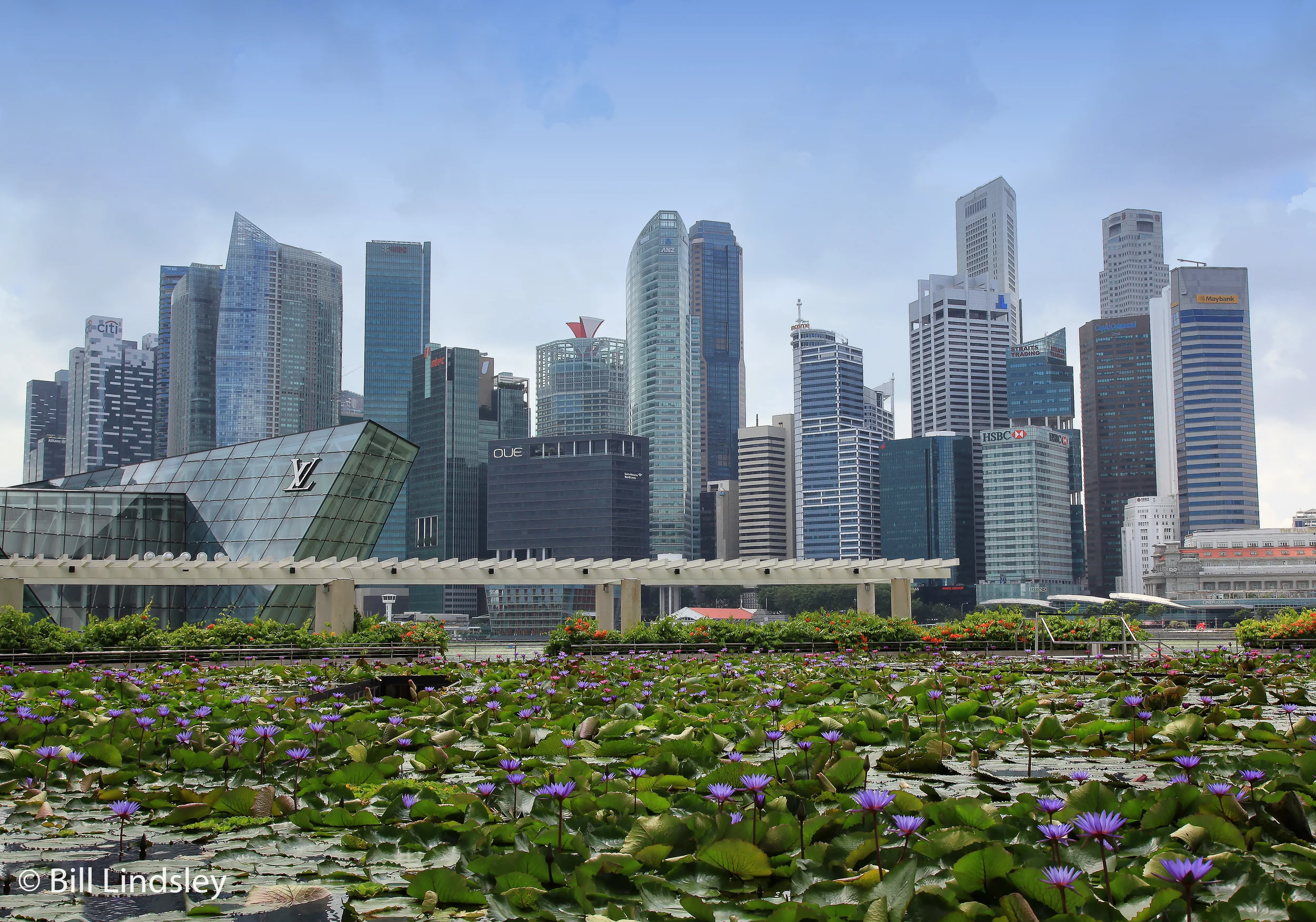 singaporecrt_336.jpg
