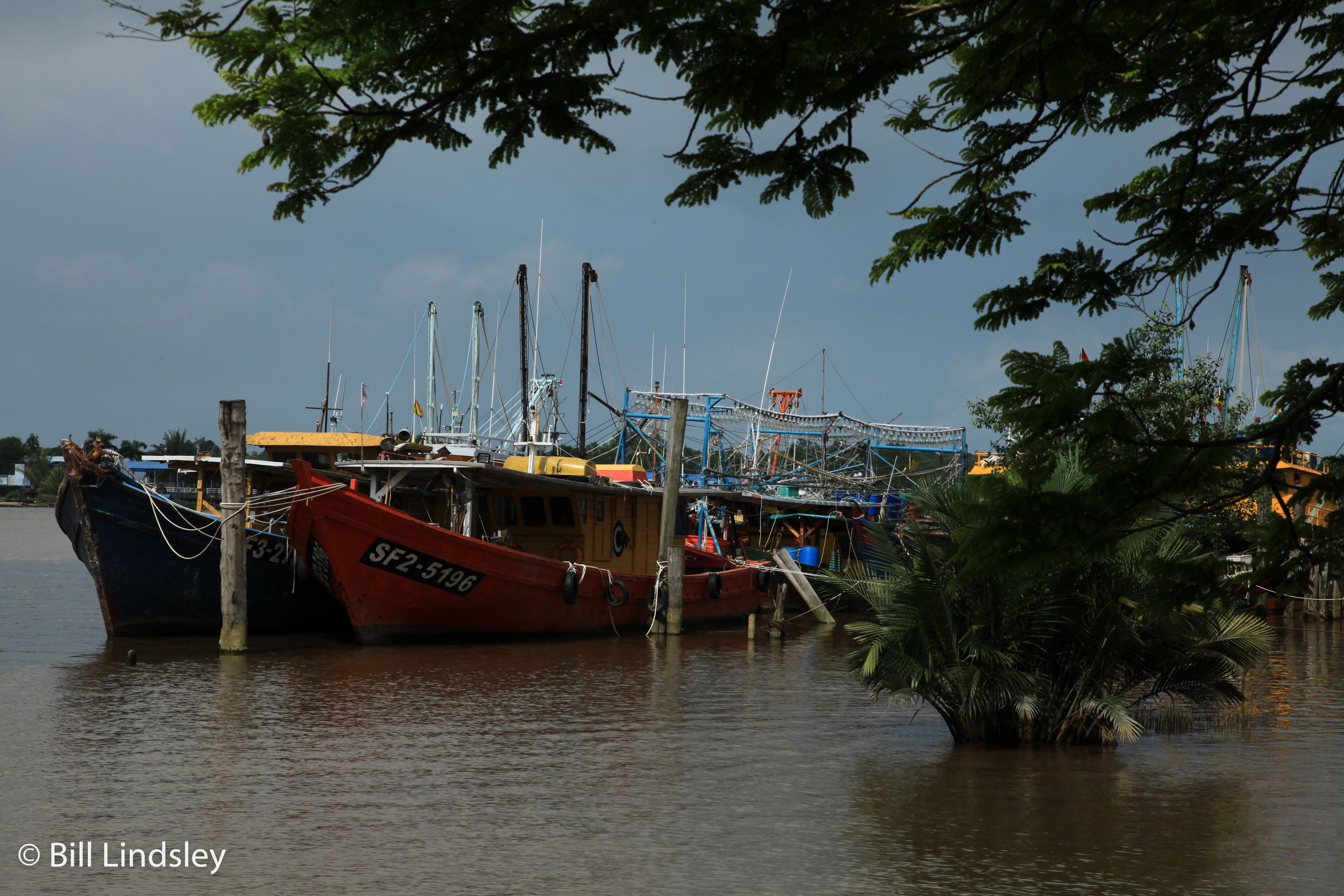 malaysia1_0134.jpg