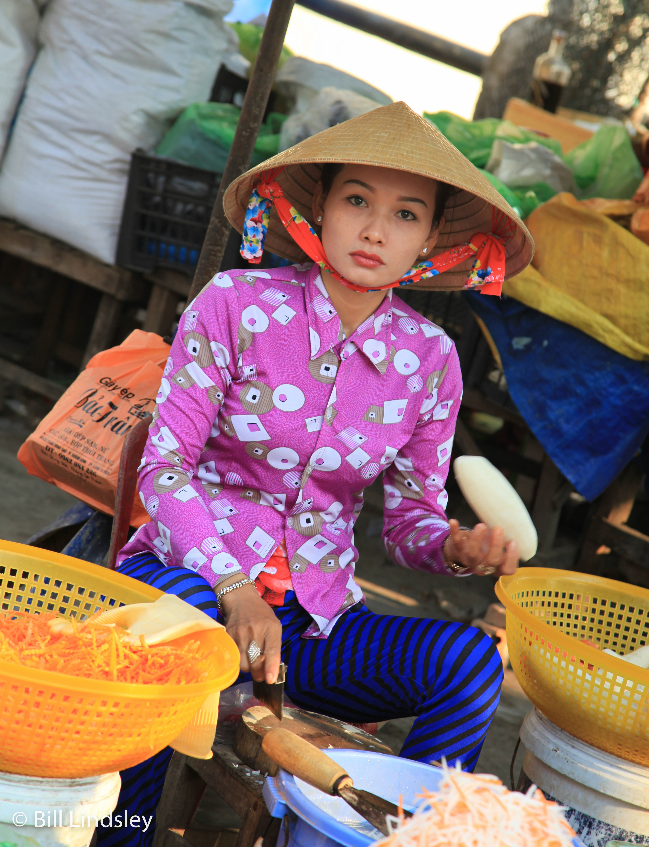 mekong3_1029a.jpg