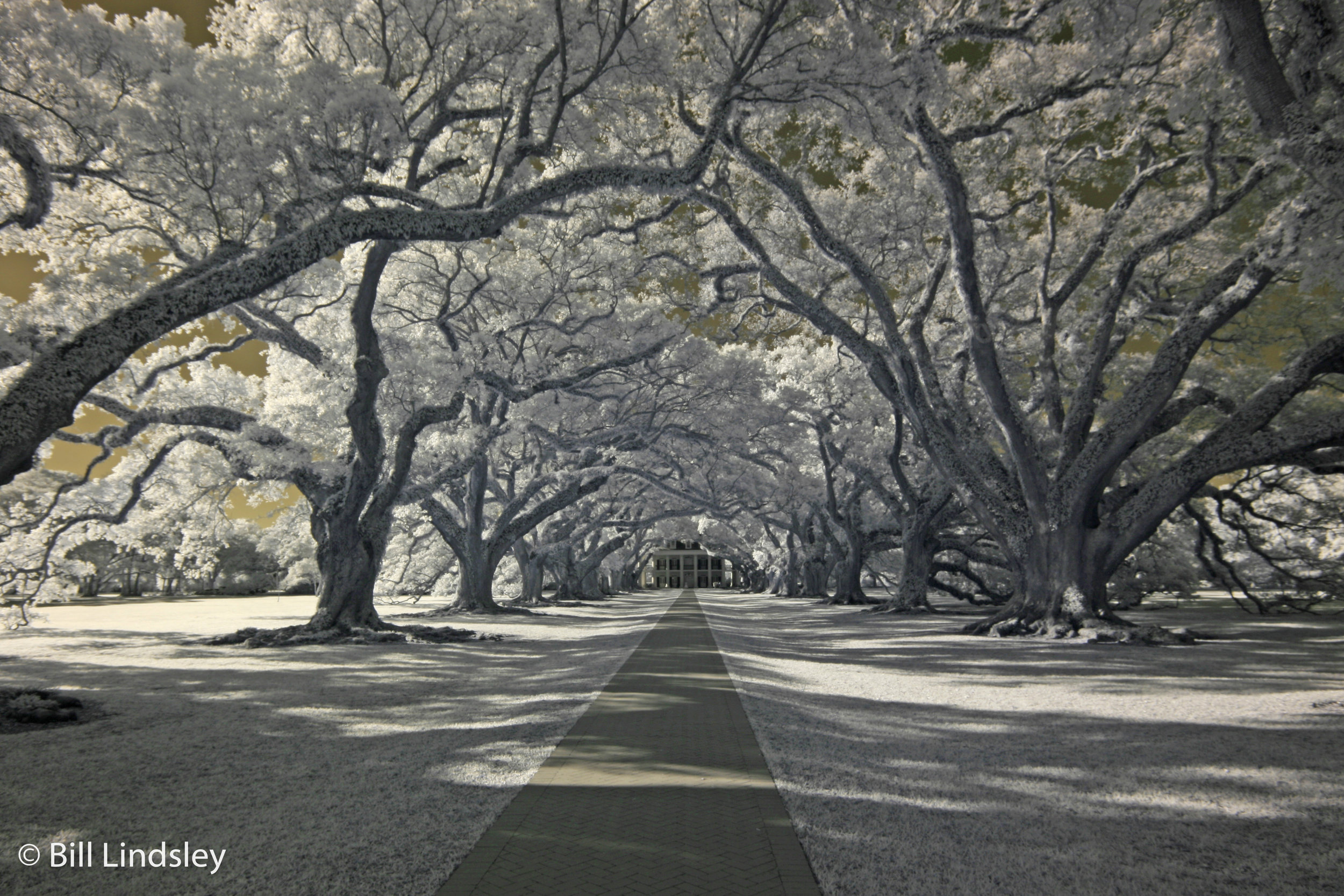 NOLA-81.jpg