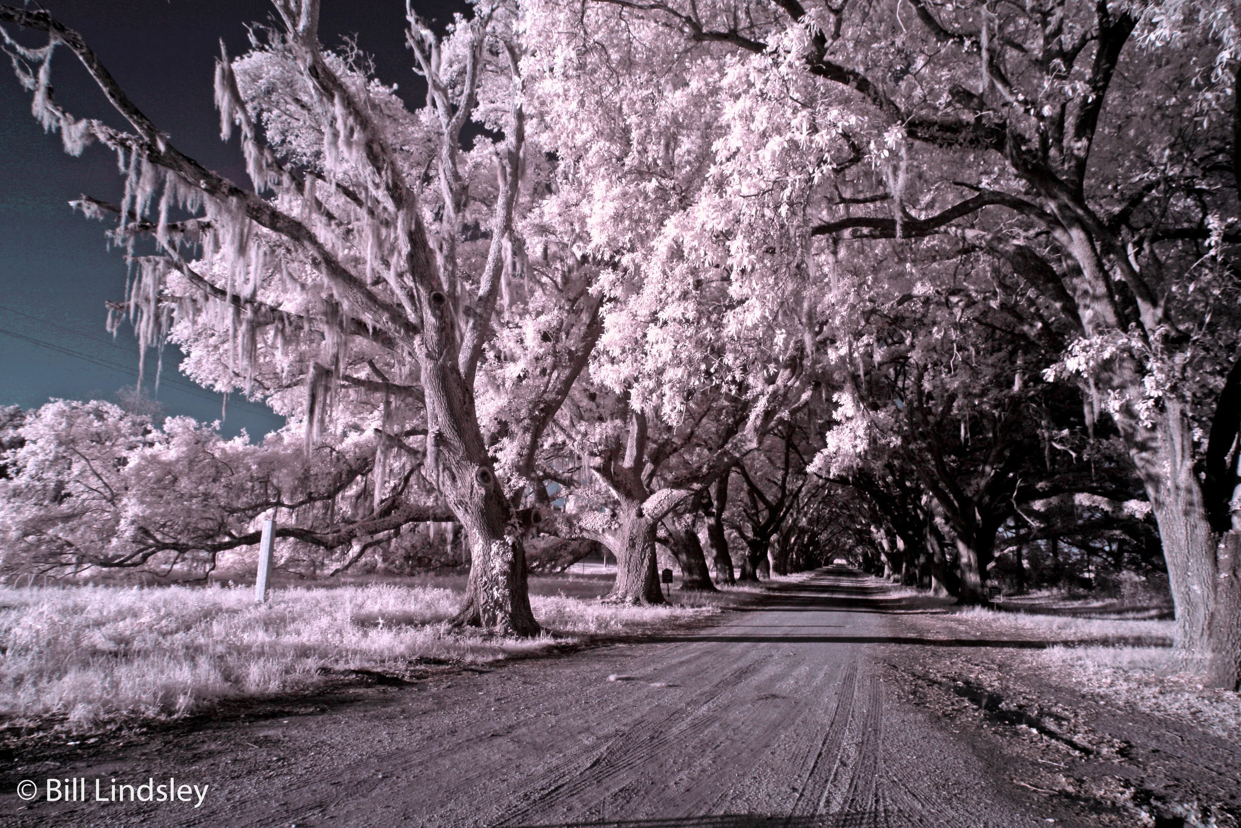 NOLA-75.jpg