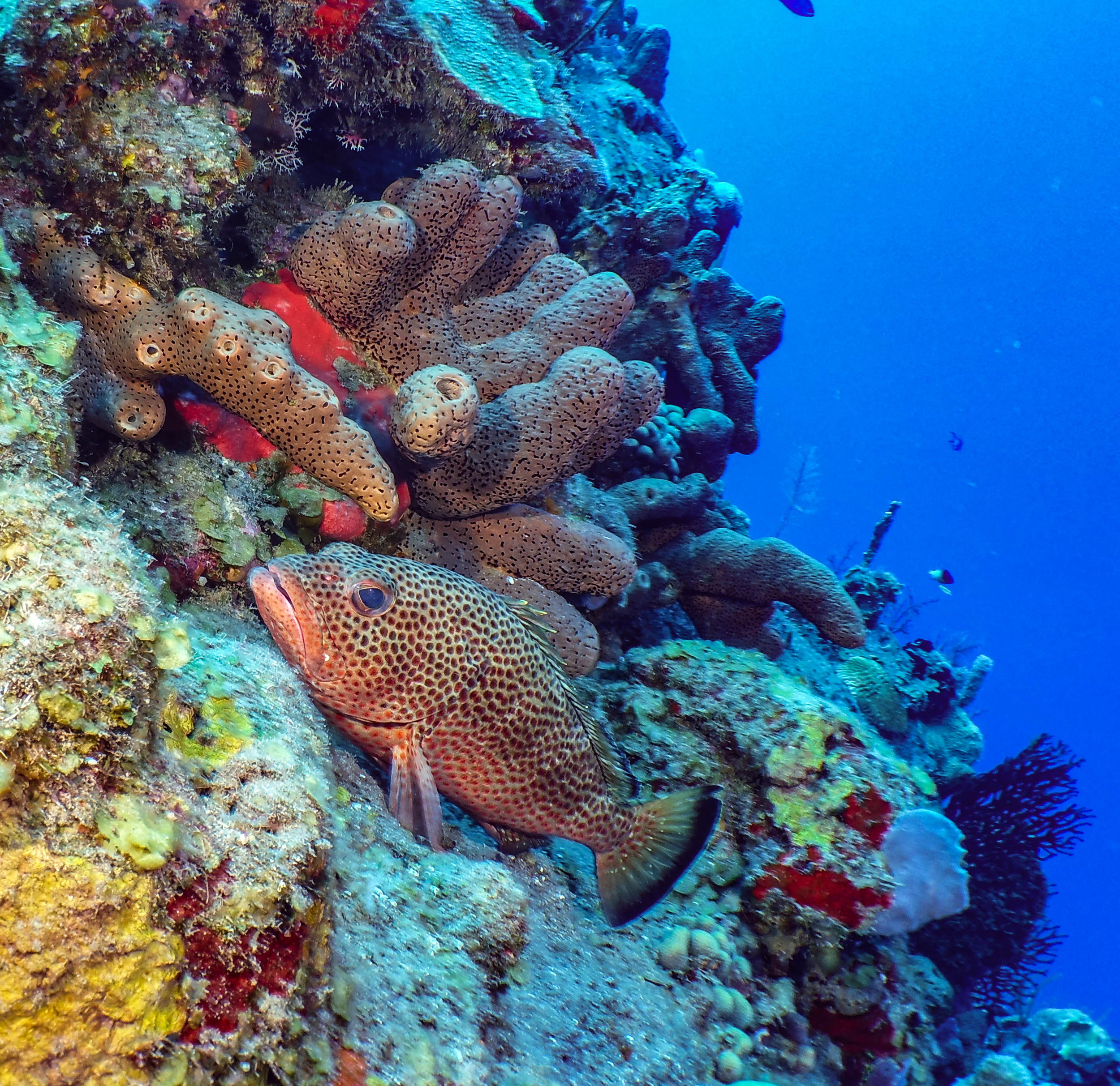 saba3619_0027.jpg