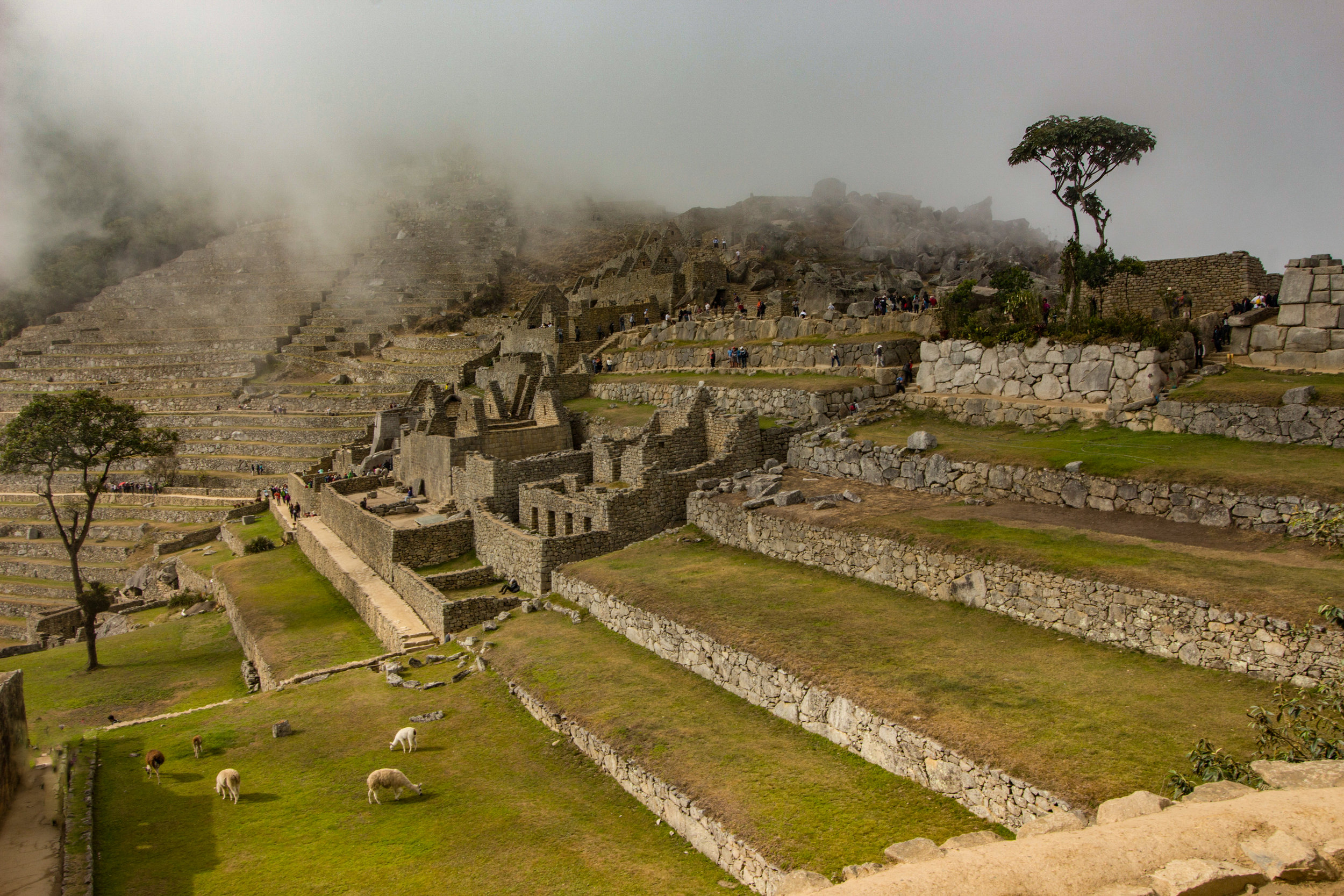 machuBest_330.jpg