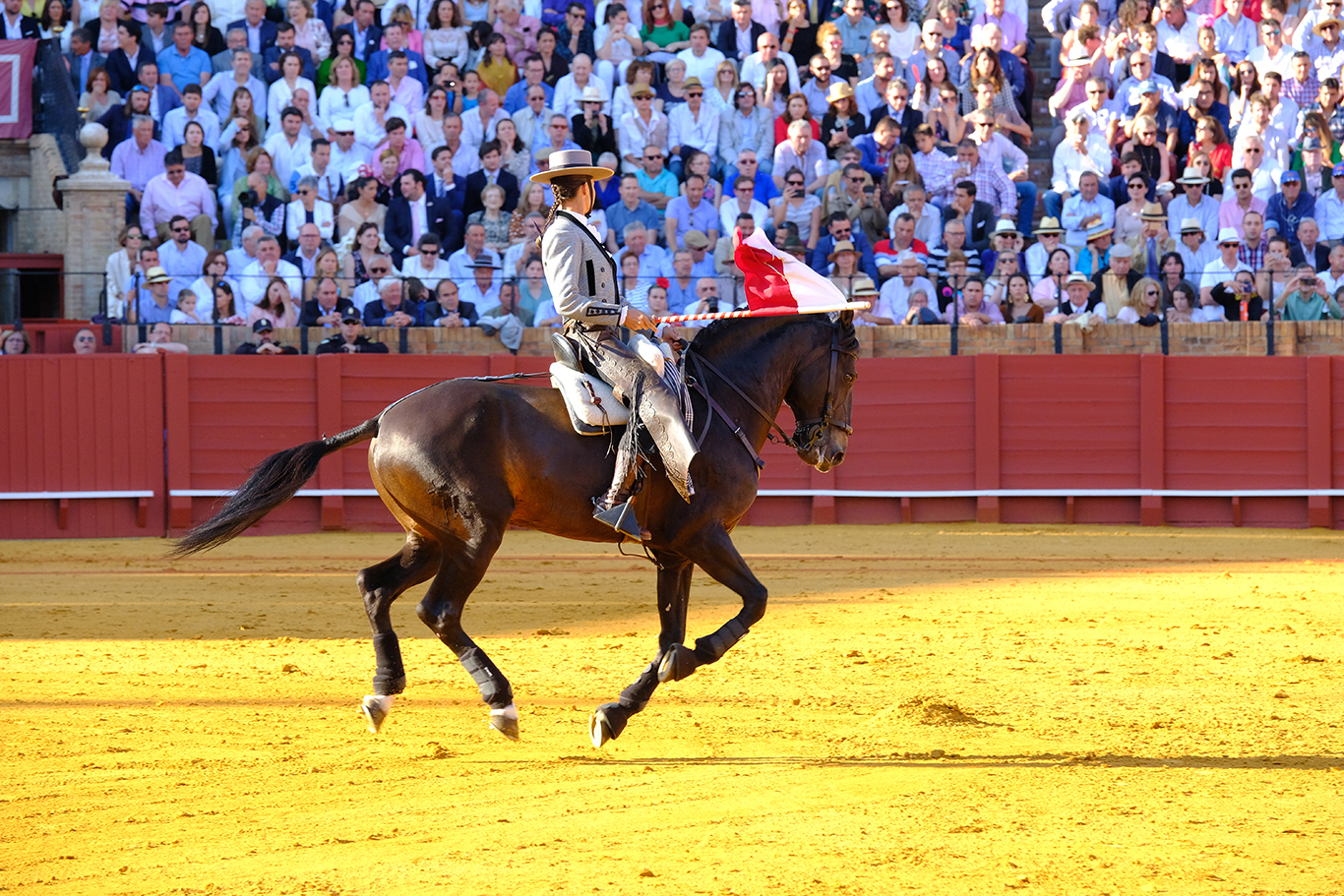 seville5.5c2_0078.jpg