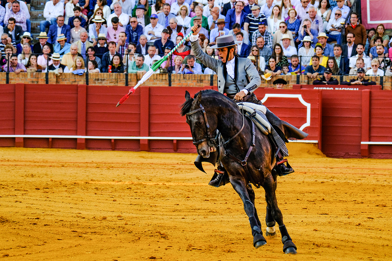 seville5.5c3_0095.jpg