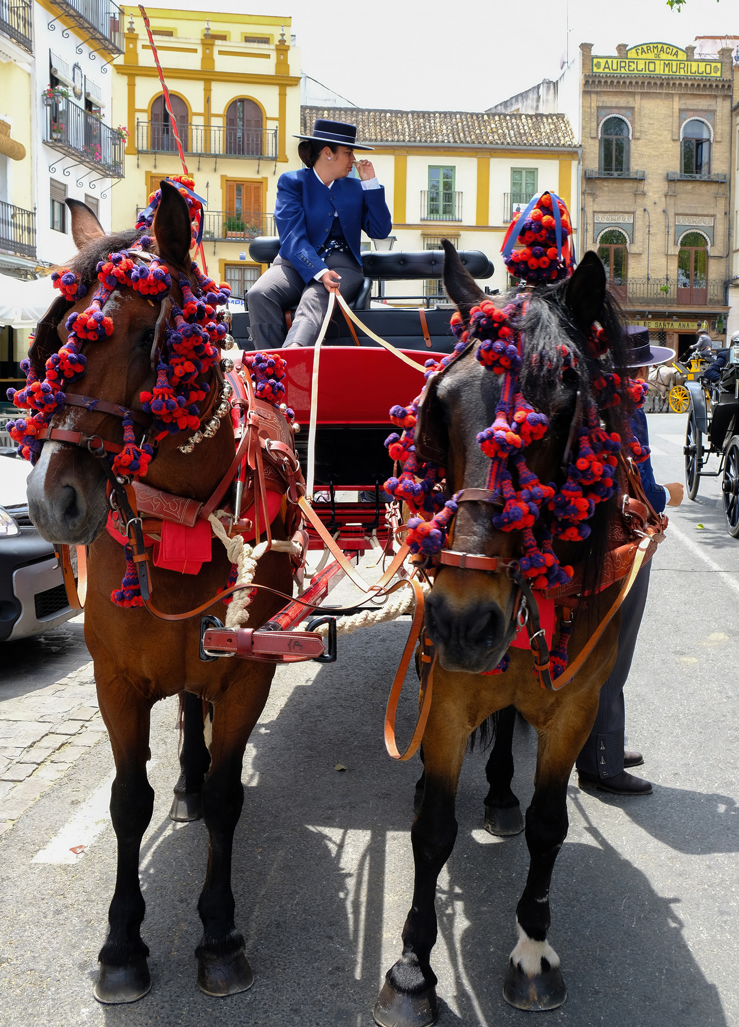 seville5.6a_0279_1500.jpg