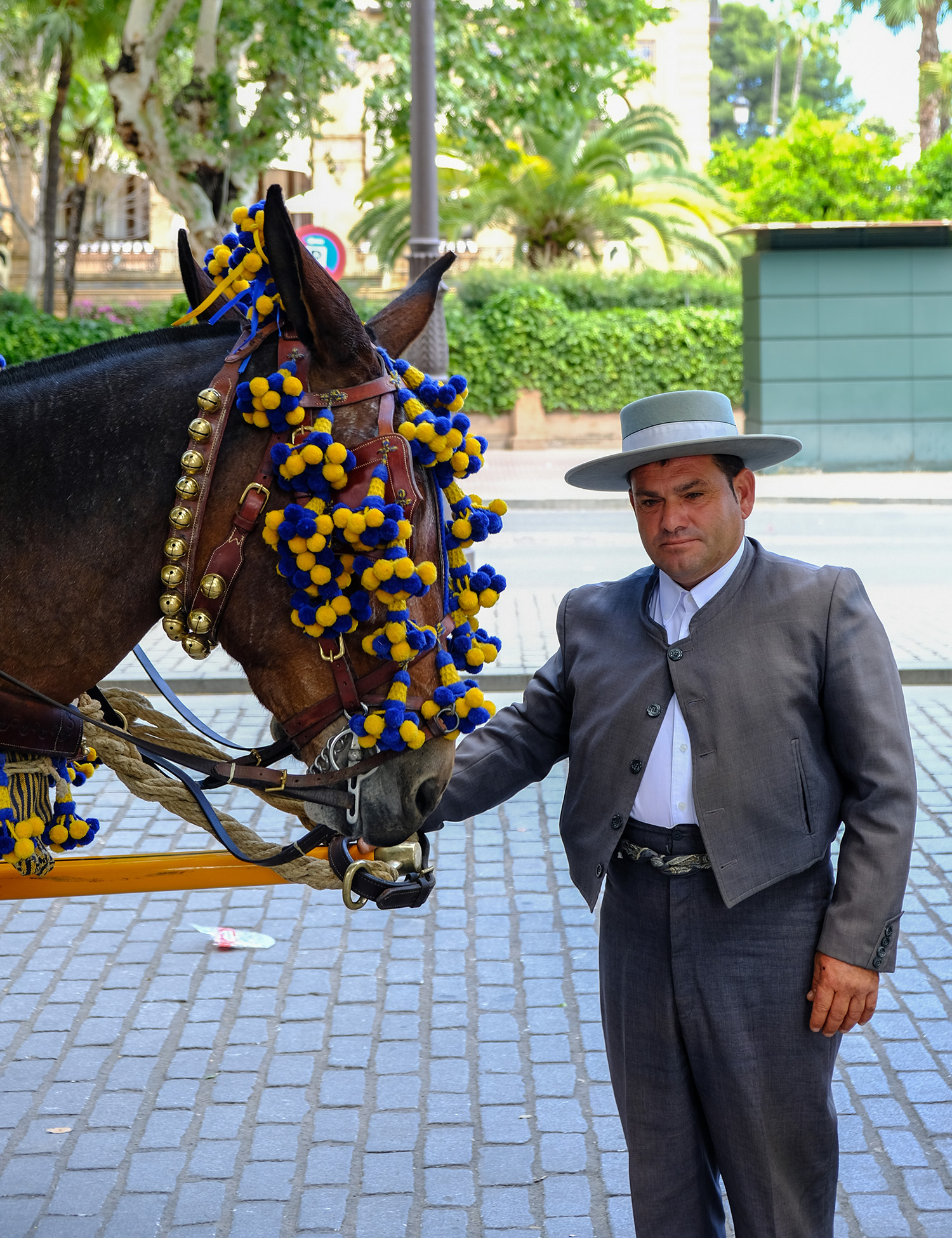 seville5.8a_0098_1500.jpg