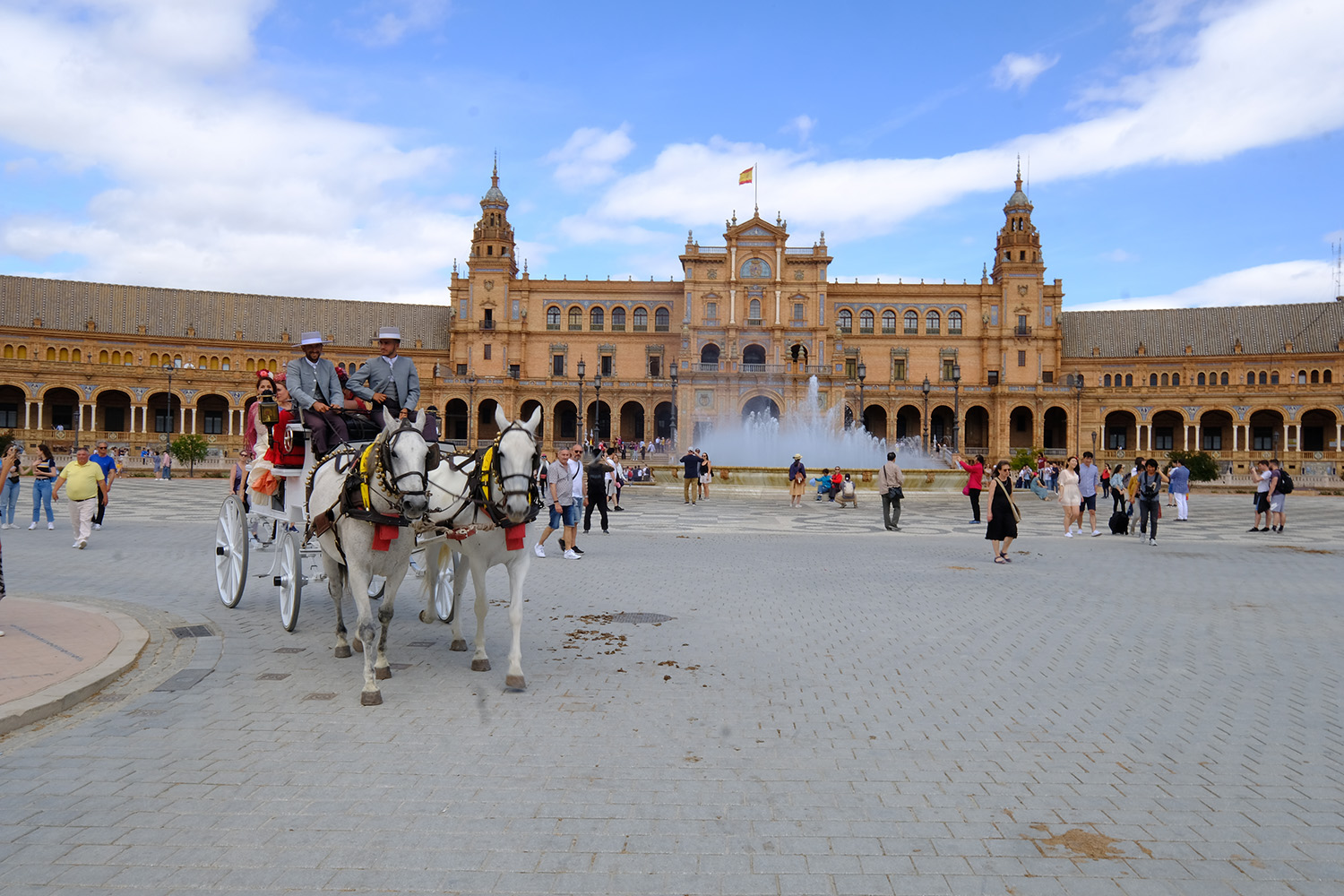 seville5.8a_0296_1500.jpg