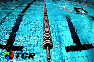 Swimming With ‘Toys’. – The Great Debate Continues….