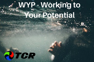 Working To Your Potential   [Assessment Tool]
