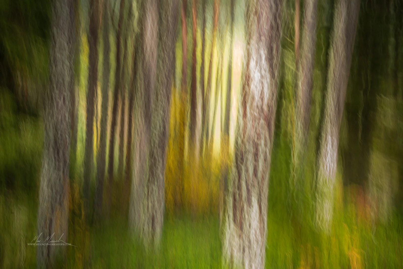 muench-workshops-scotland-3.jpg