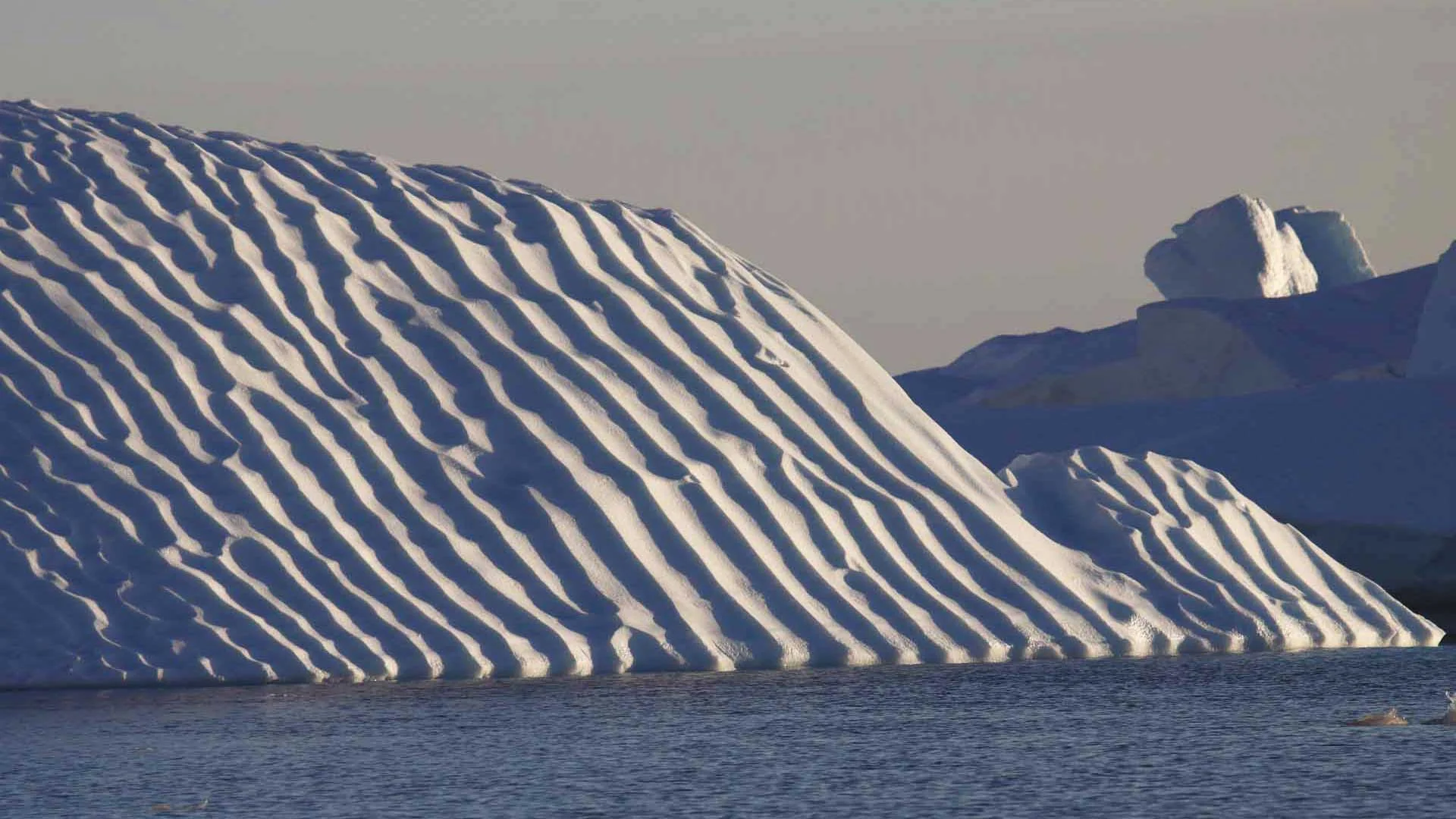 muench-workshops-antarctica.jpg