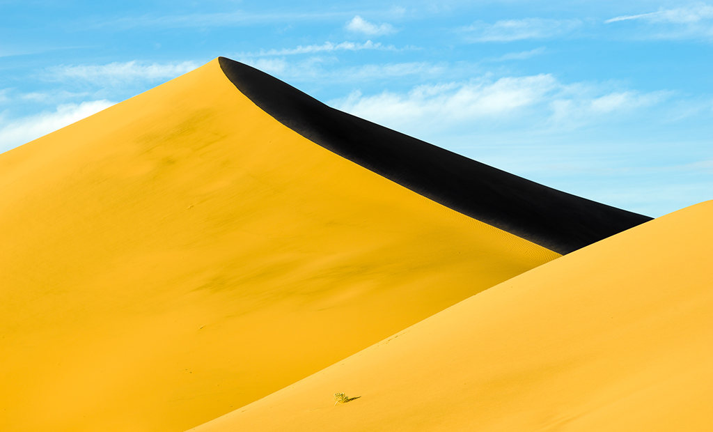 muench-workshops-ibex-dunes.jpg