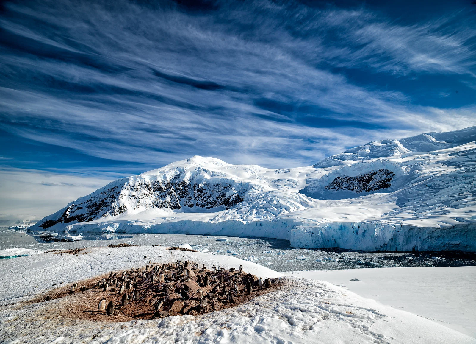 Muench Workshops Pro Randy Hanna: The warmth of the penguin rookery is a stark contrast to the cold waters and ice flows of the Antarctic environment. While photographing in the Antarctic regions, I am simply amazed at all of the life found here and the harsh conditions that must be overcome. Using a wide angle lens and a moderate f/stop, I was able to keep everything in focus from the edge of the rookery to the distant background. Shot with a Hasselblad H6D100C and a 24mm lens.
