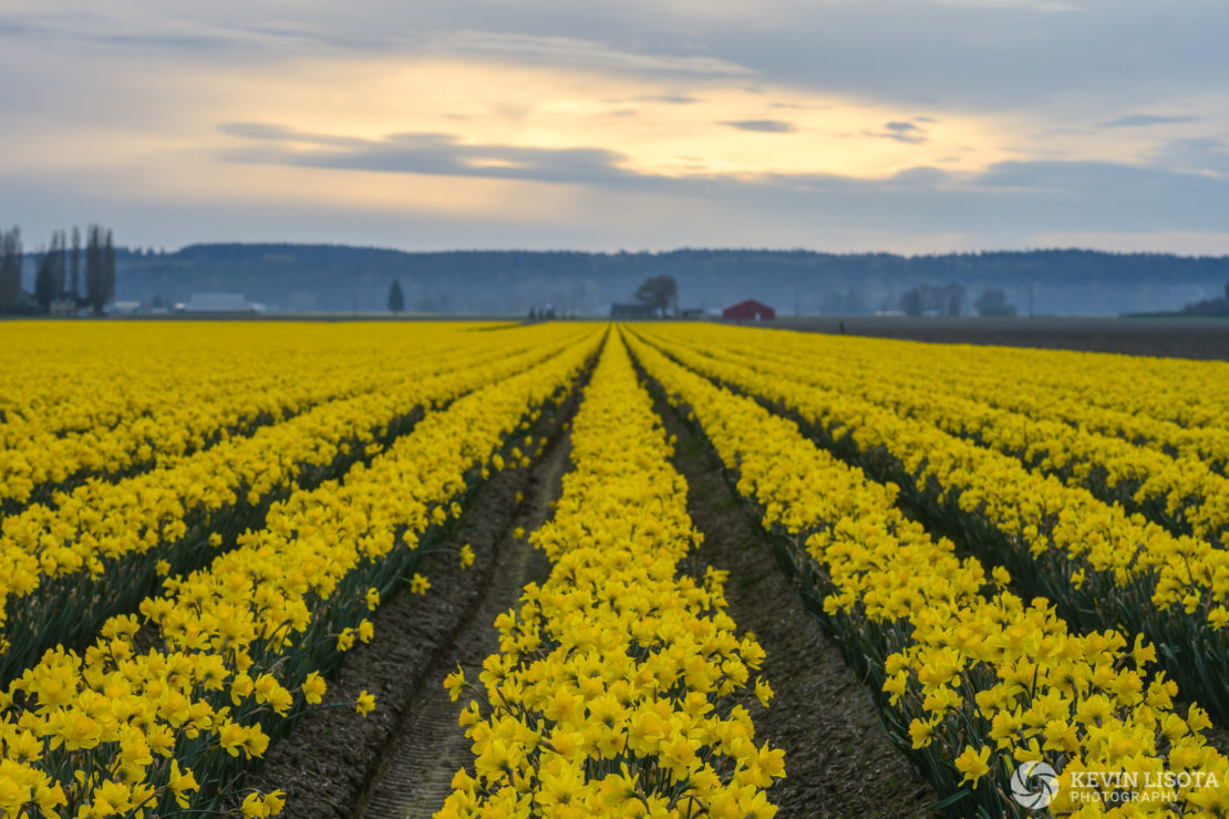 At f/13, only the front third of this scene is in focus. Nikon Z7, 130mm, f/13, 1/40 sec, ISO 64